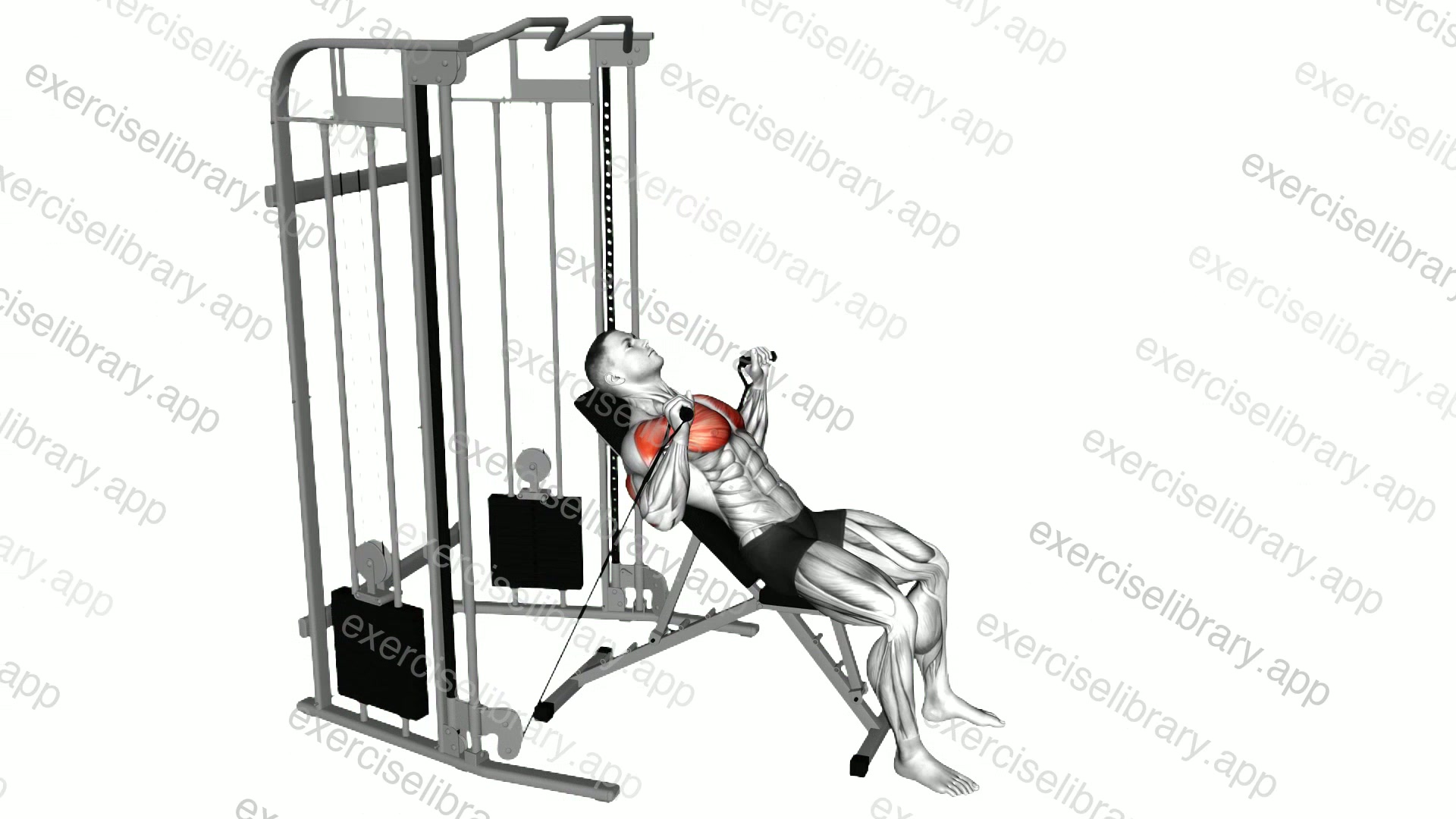 Cable Incline Bench Press demonstration