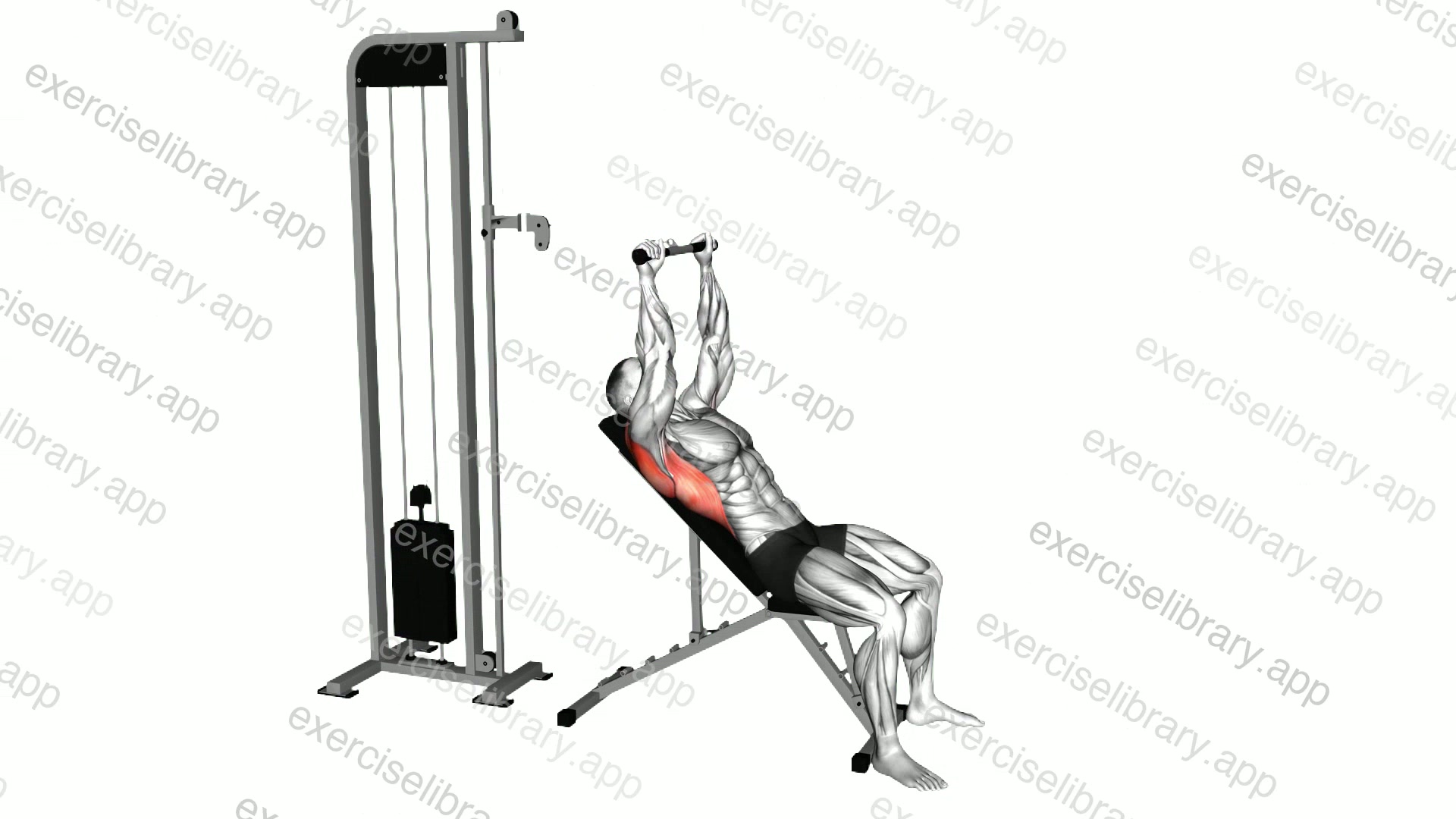 Cable Incline Pushdown demonstration