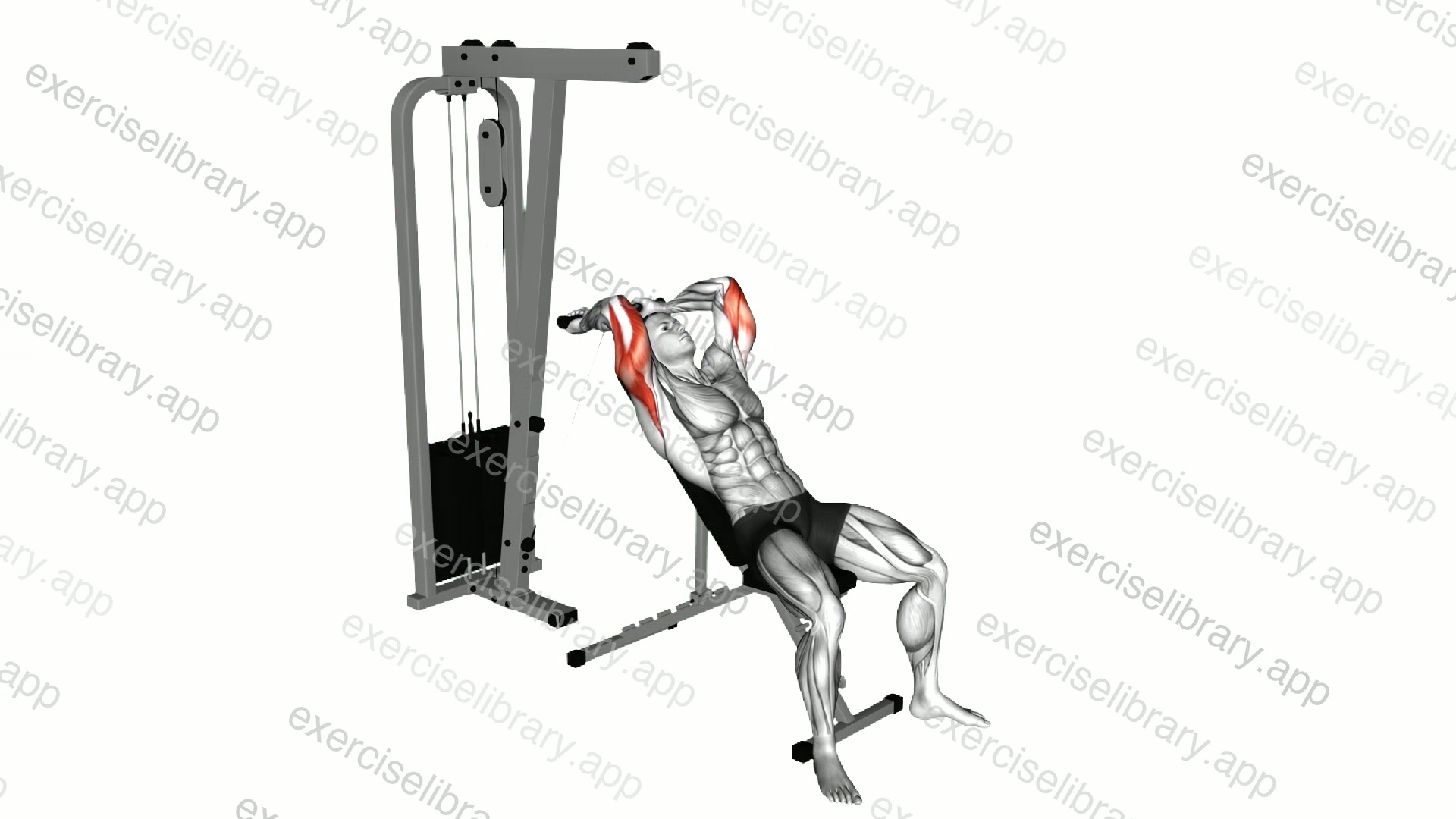 Cable Incline Triceps Extension demonstration
