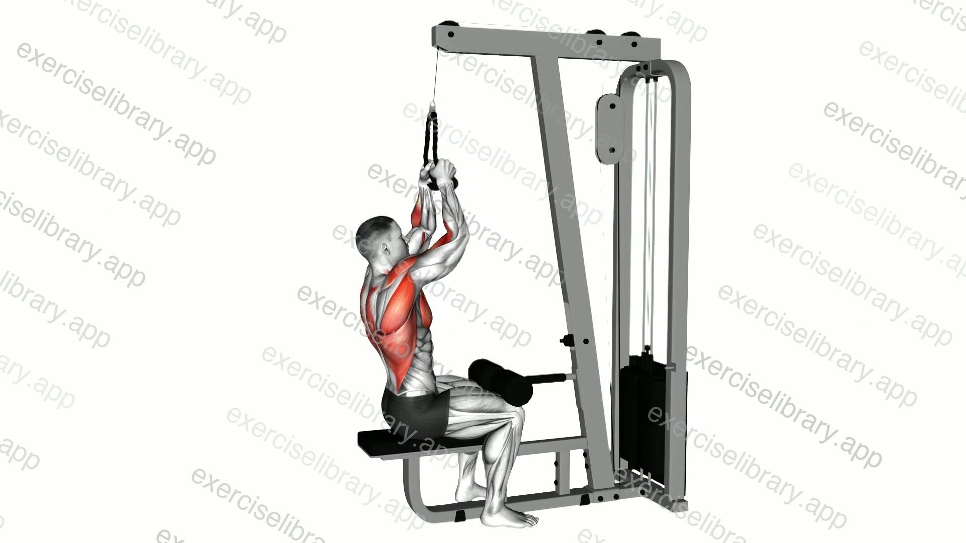 Cable Lateral Pulldown demonstration