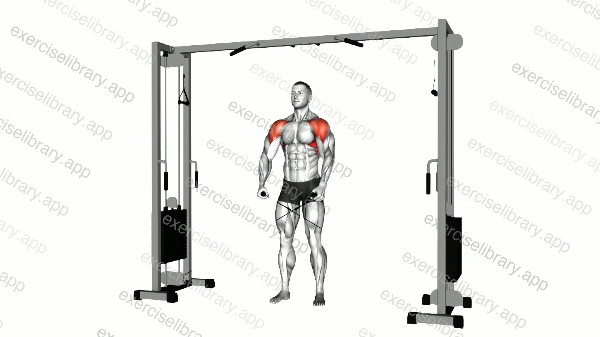 Cable Lateral Raise demonstration