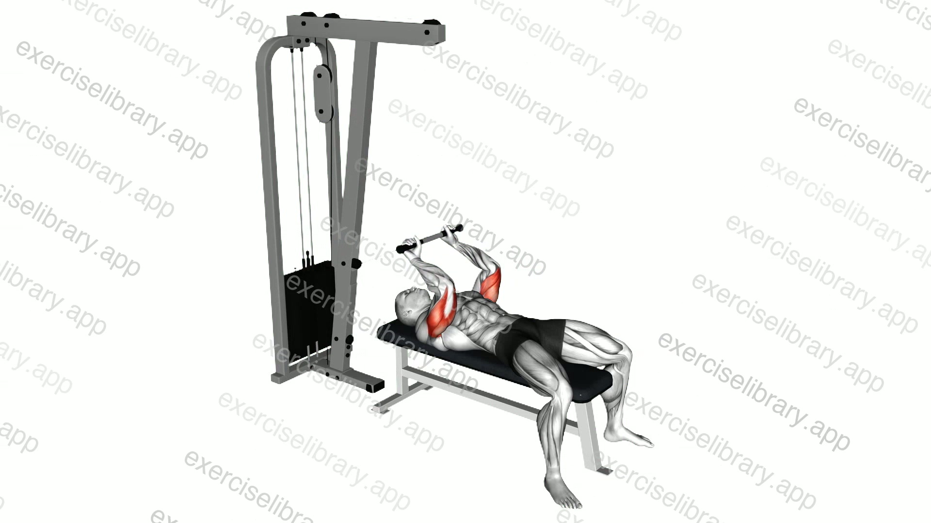 Cable Lying Triceps Extension demonstration