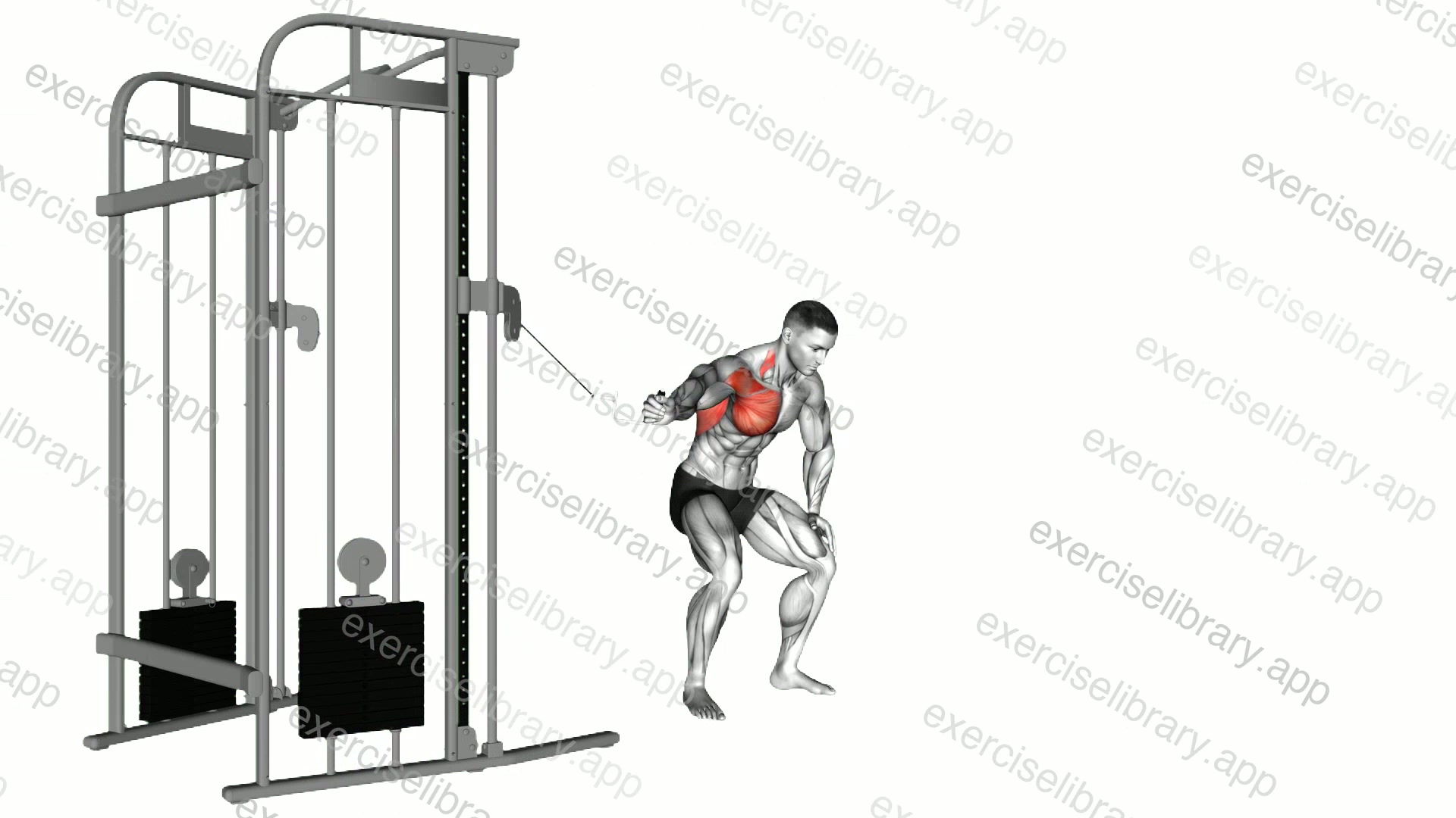 Cable One Arm Lateral Bent over demonstration