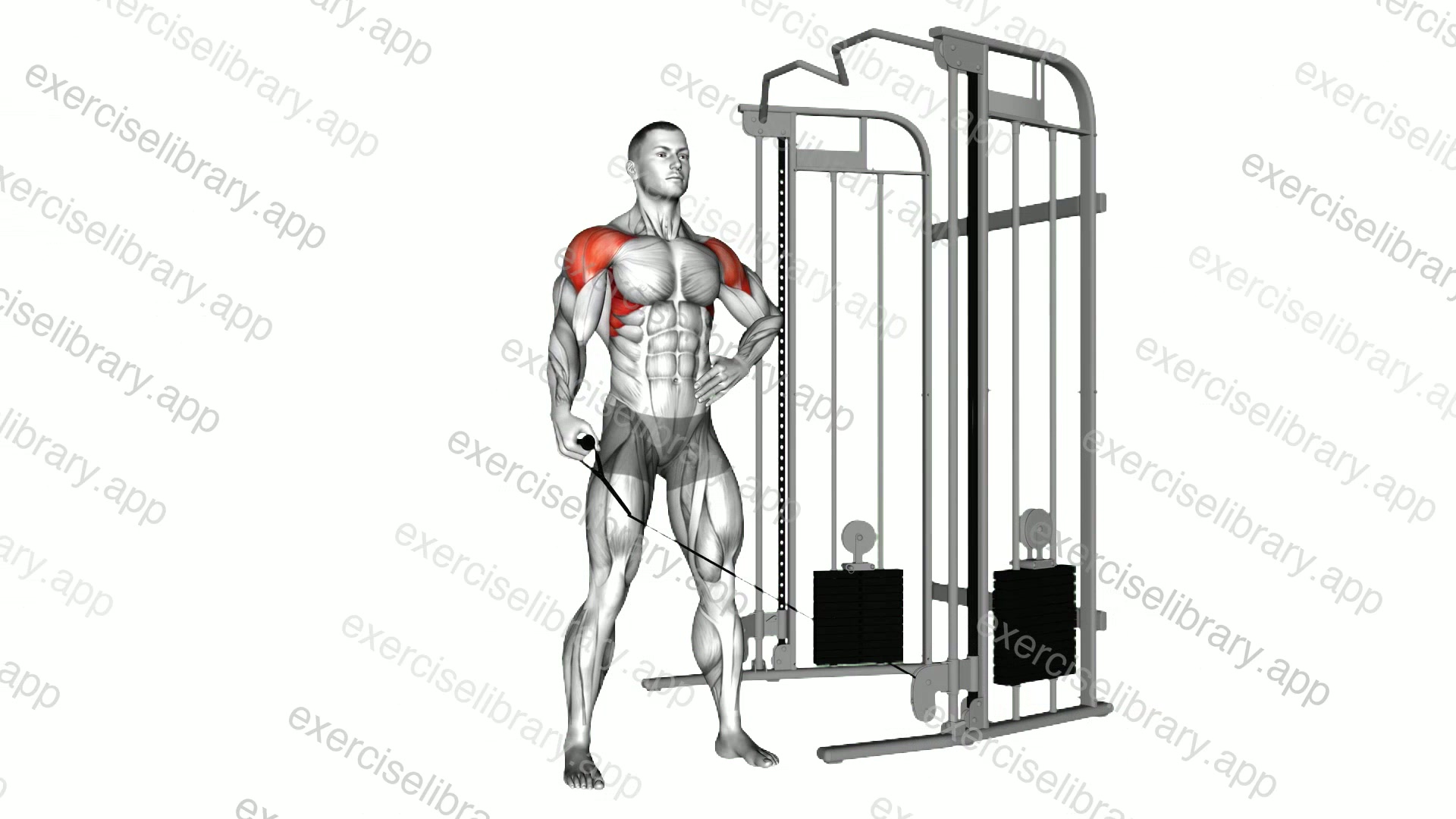 Cable One Arm Lateral Raise demonstration