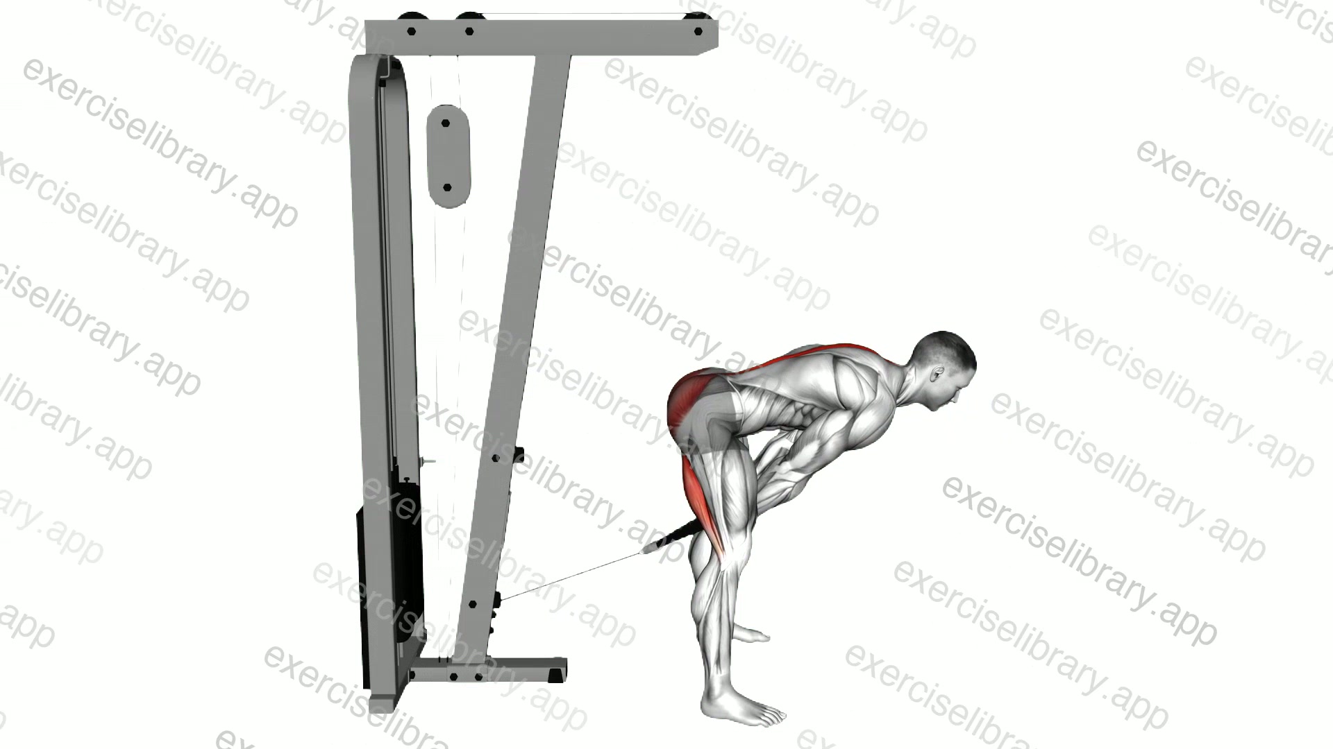 Cable Pull Through demonstration