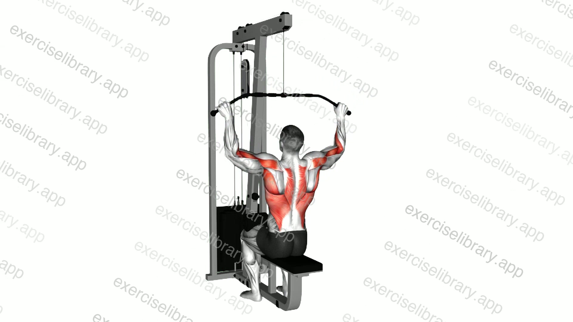 Cable Pulldown demonstration