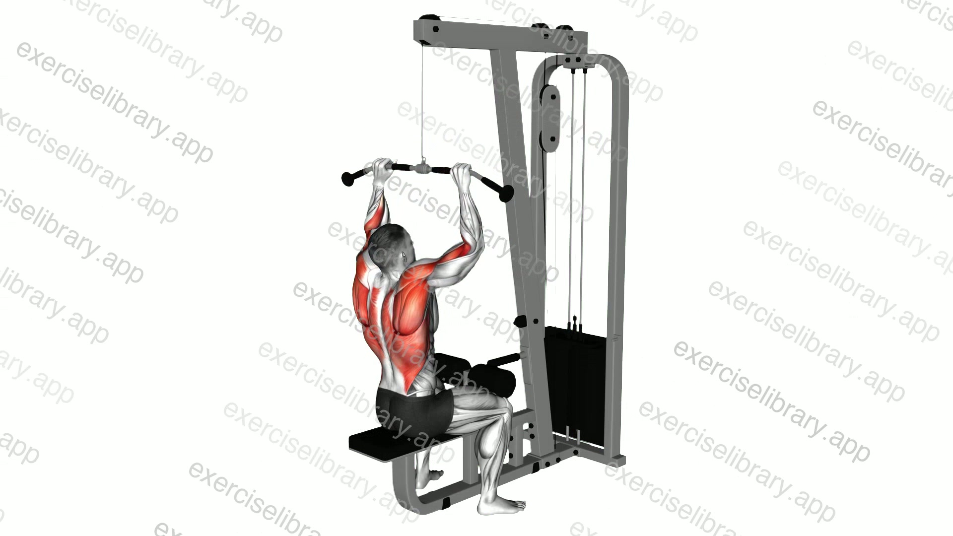 Cable Pulldown demonstration