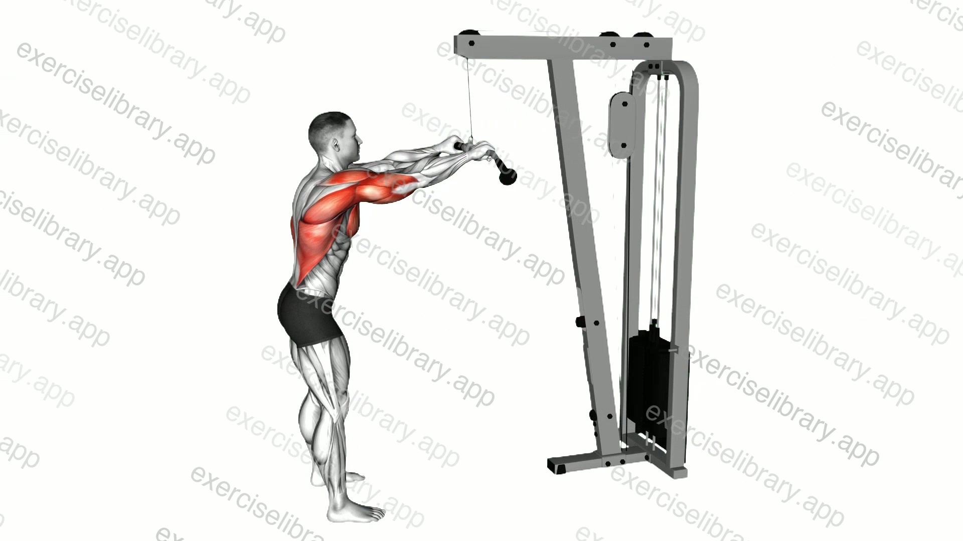Cable Pushdown demonstration