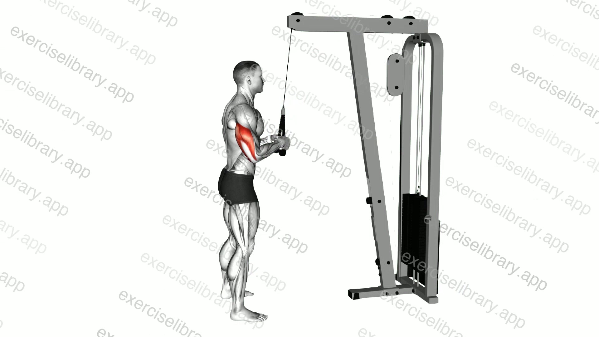 Cable Pushdown demonstration