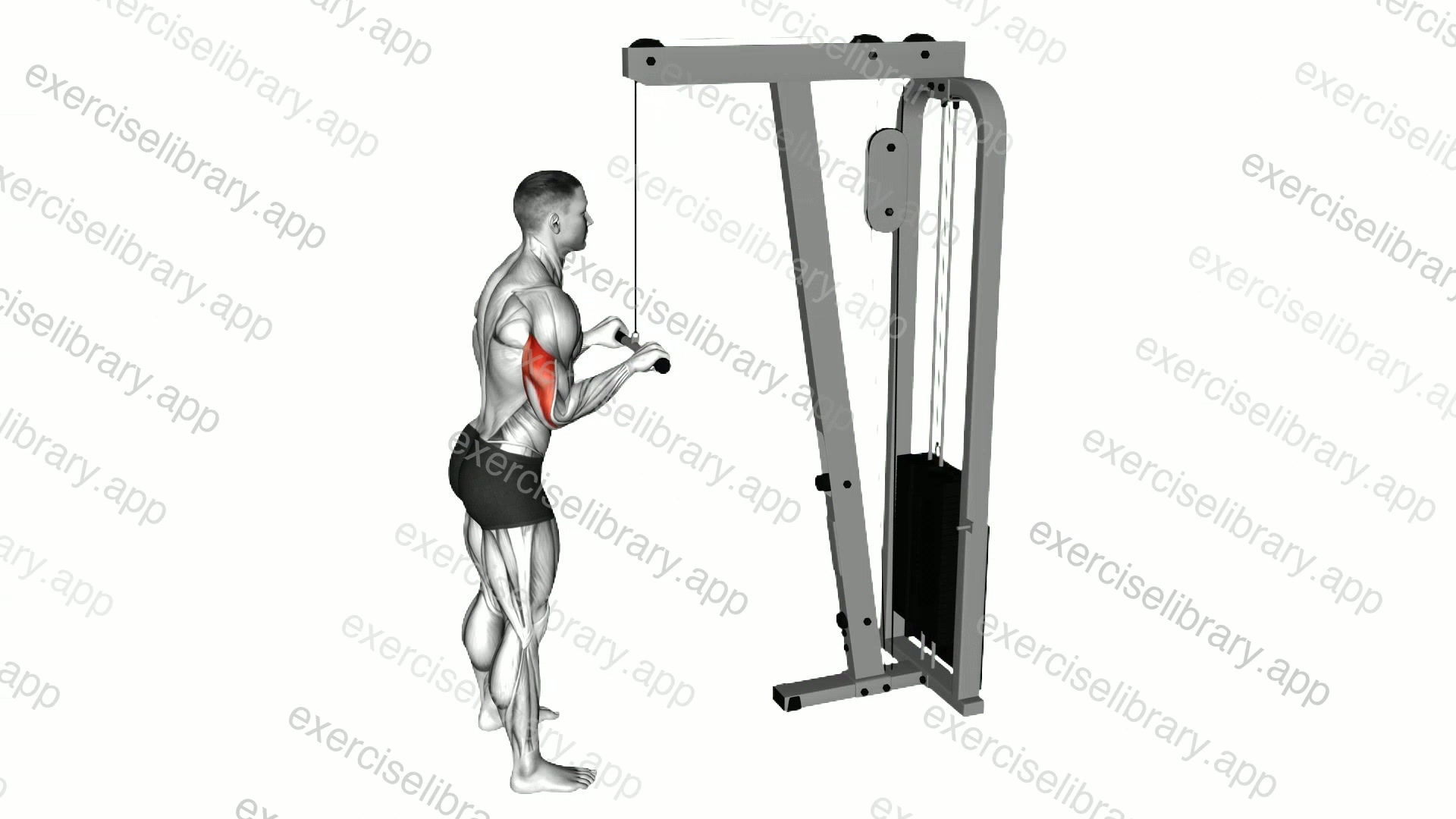 Cable Pushdown demonstration