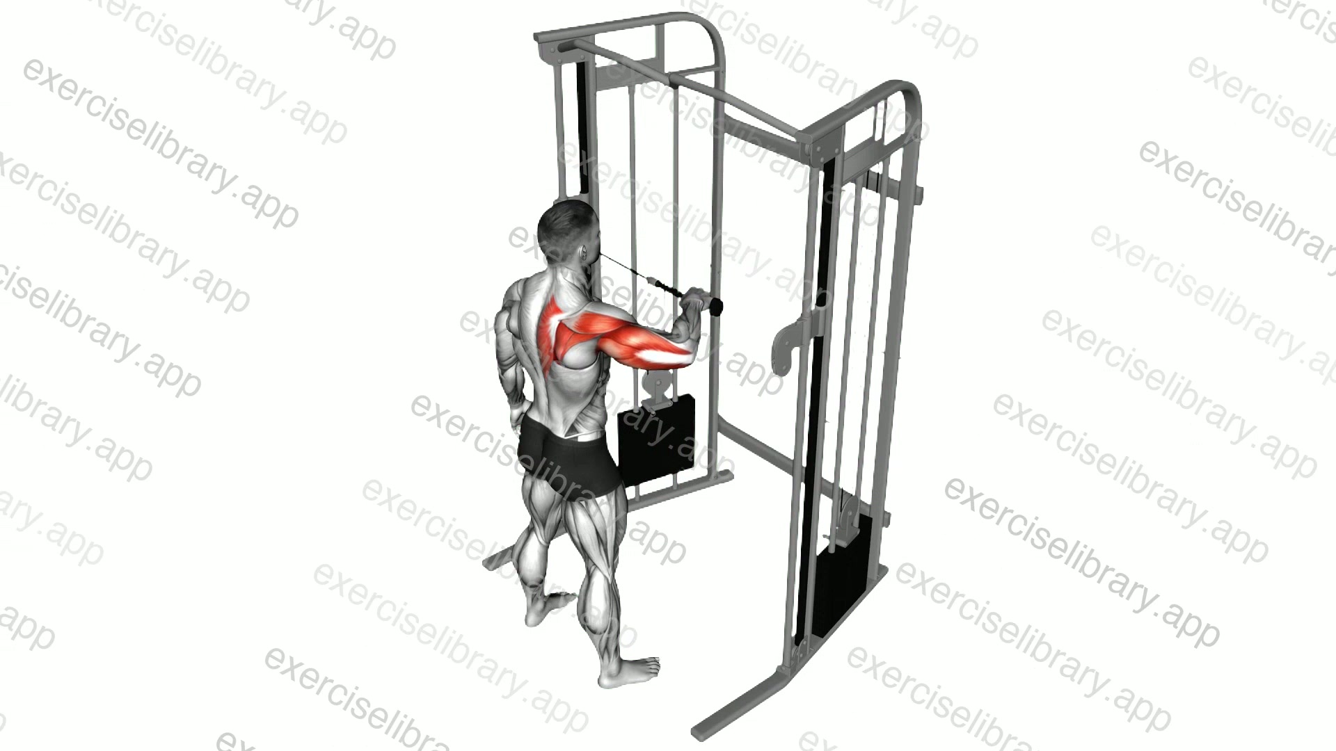 Cable Rear Drive demonstration