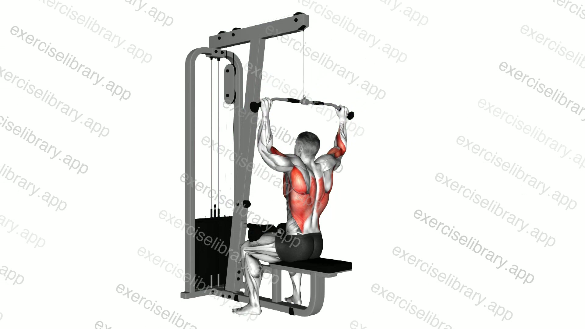 Cable Rear Pulldown demonstration