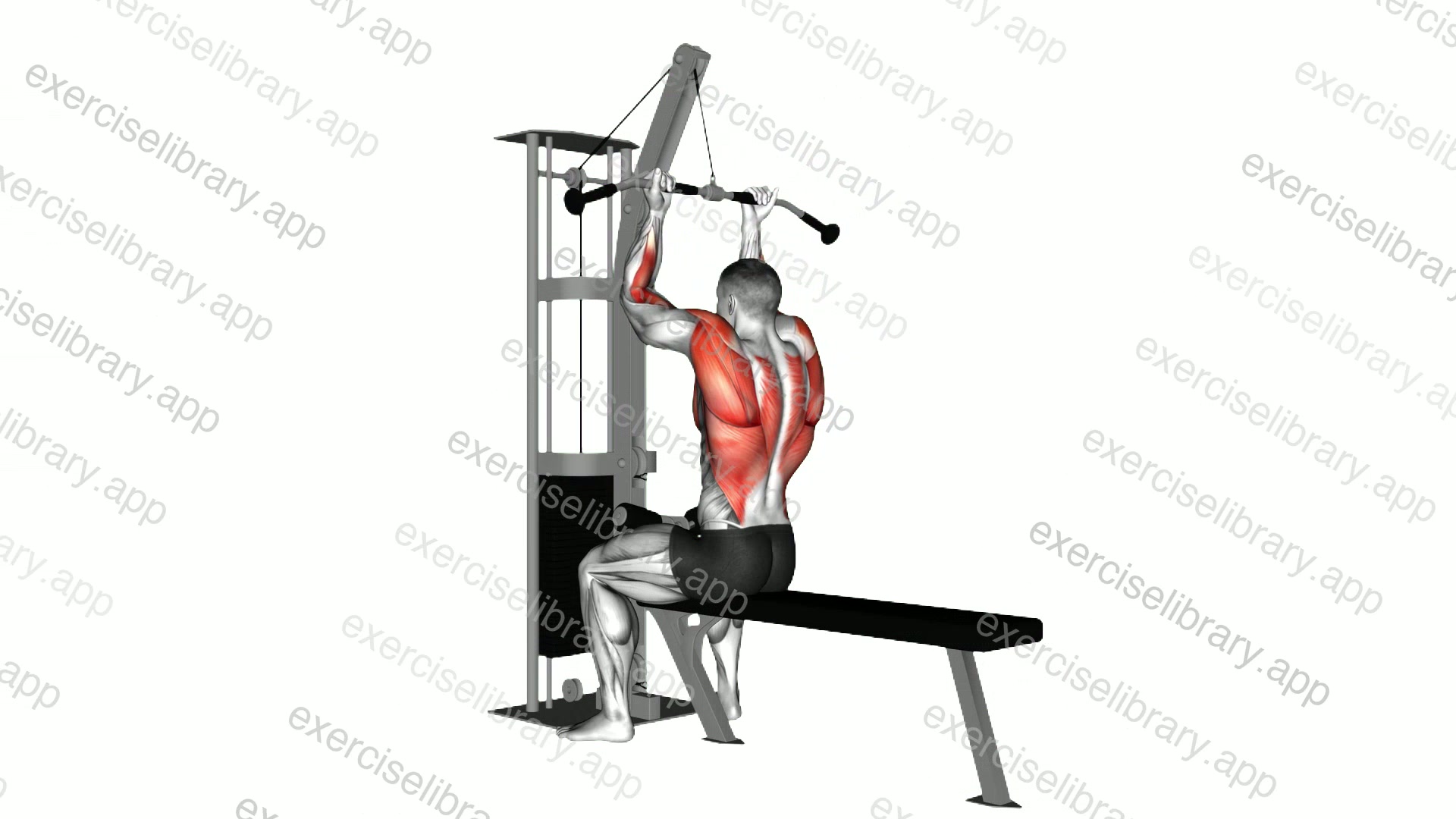 Cable Reverse grip Straight Back Seated High Row demonstration