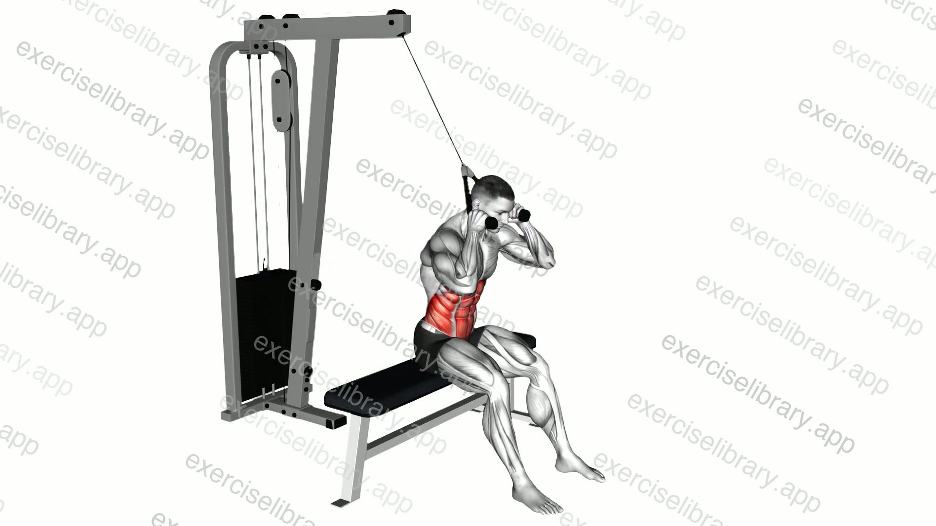 Cable Seated Crunch demonstration