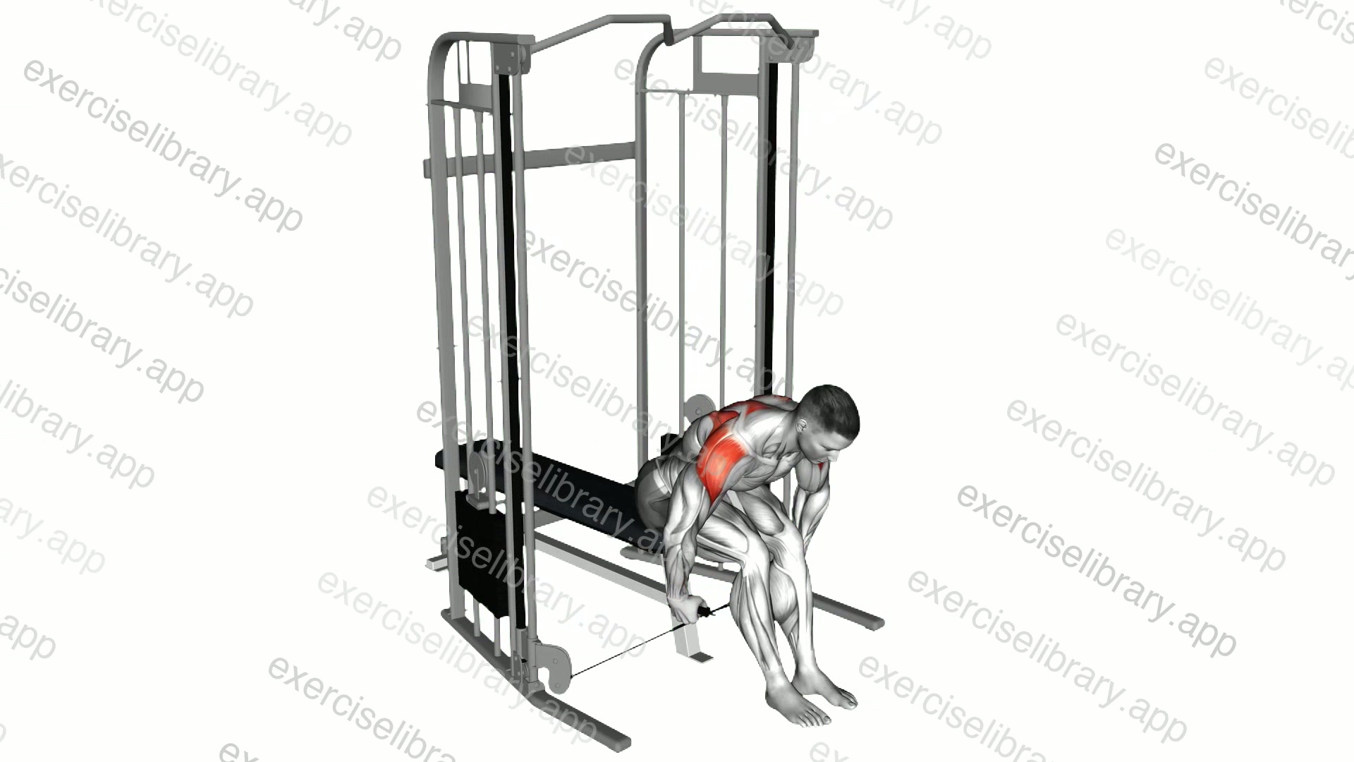 Cable Seated Rear Delt Raise demonstration