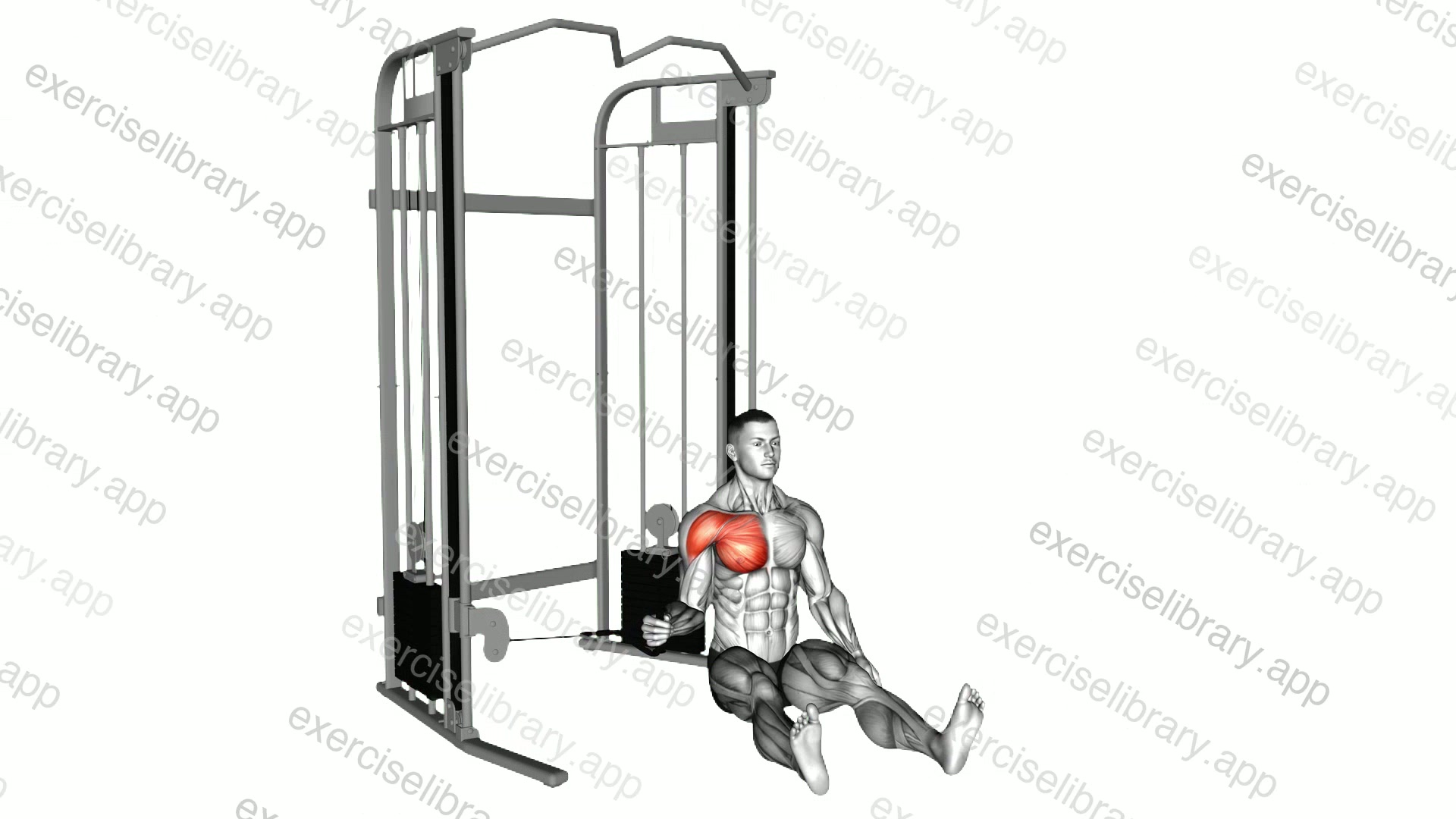 Cable Seated Shoulder Internal Rotation demonstration