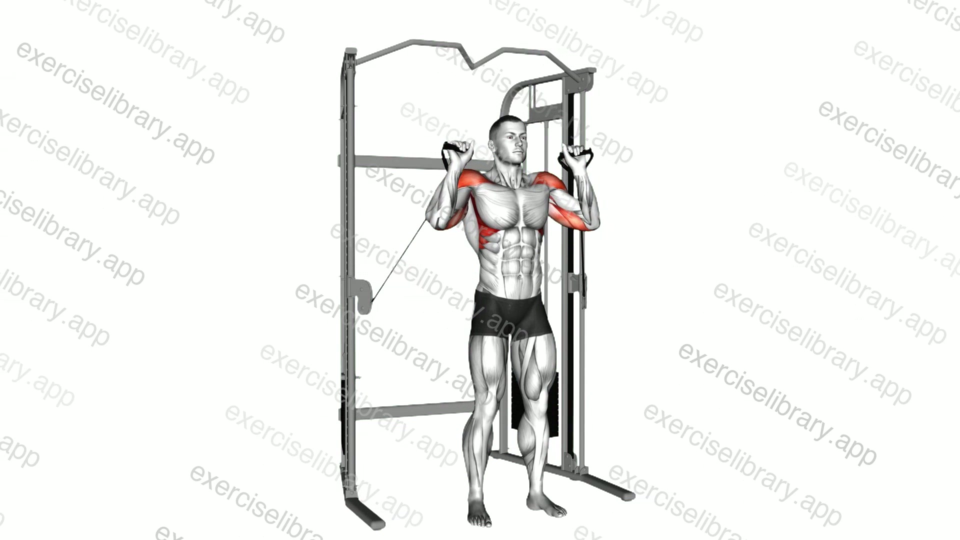 Cable Shoulder Press demonstration