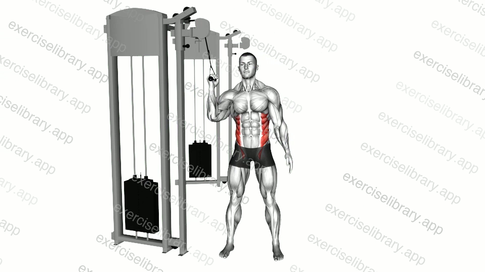 Cable Side Crunch demonstration