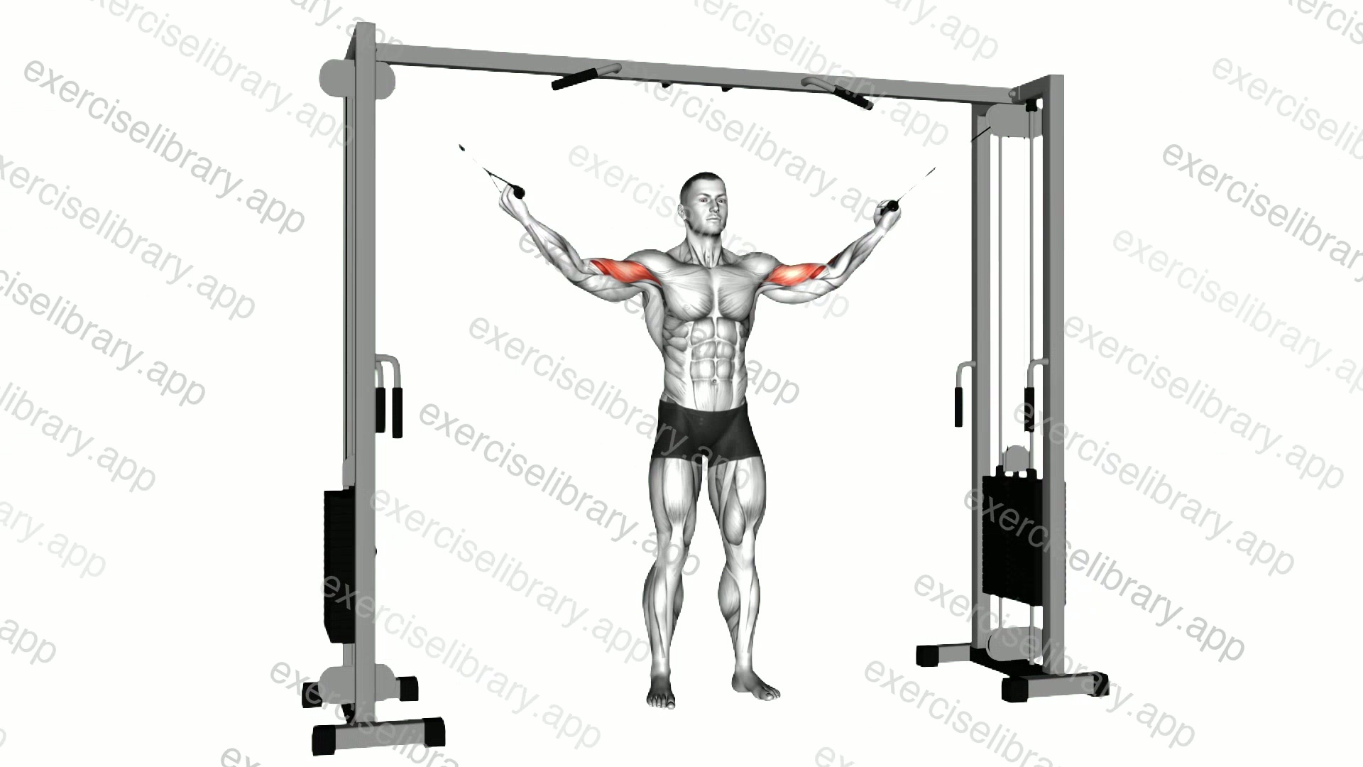 Cable Standing Inner Curl demonstration