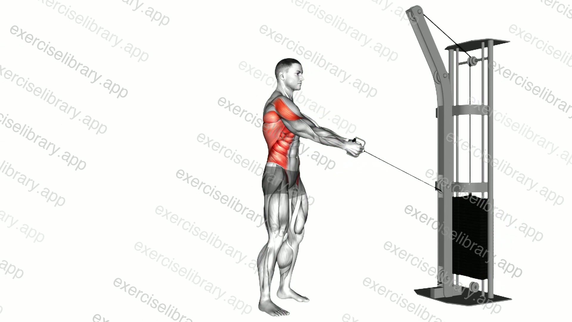 Cable Standing Lift demonstration