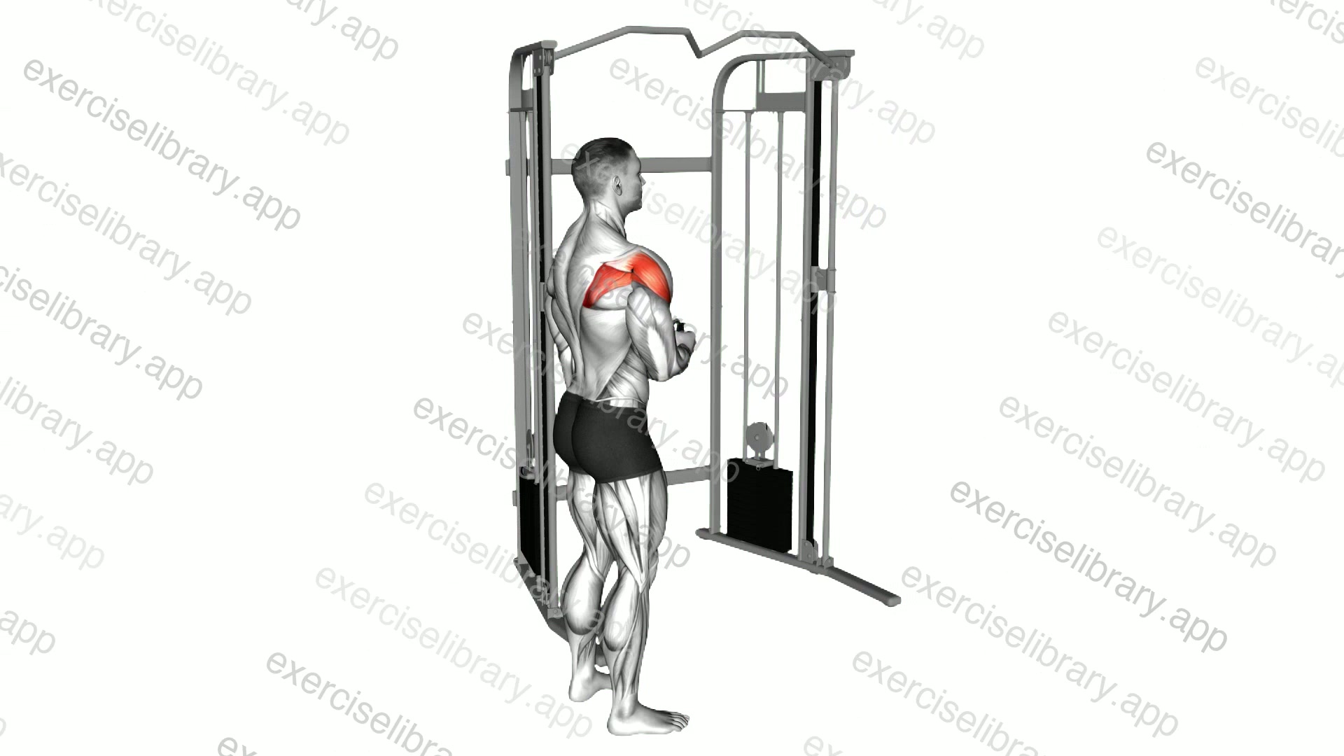 Cable Standing Shoulder External Rotation demonstration