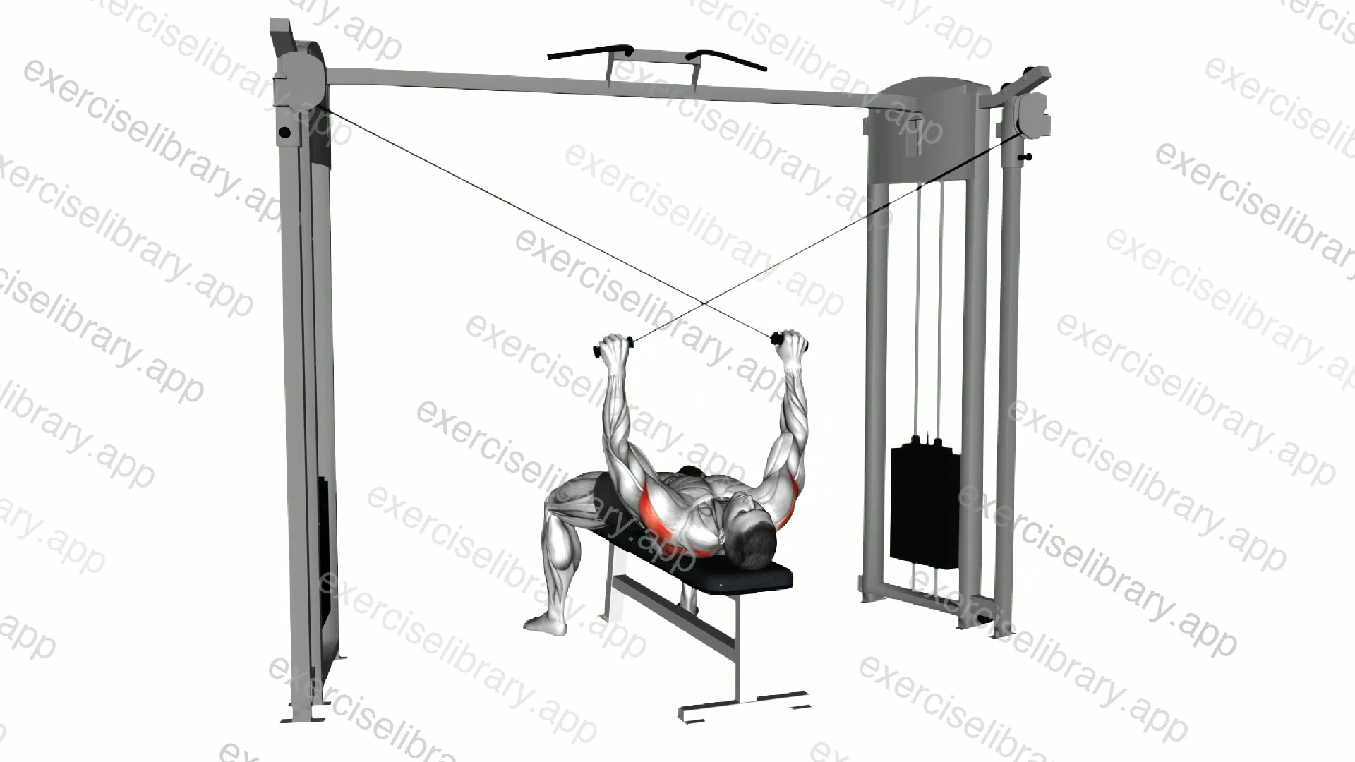 Cable Supine Reverse Fly demonstration