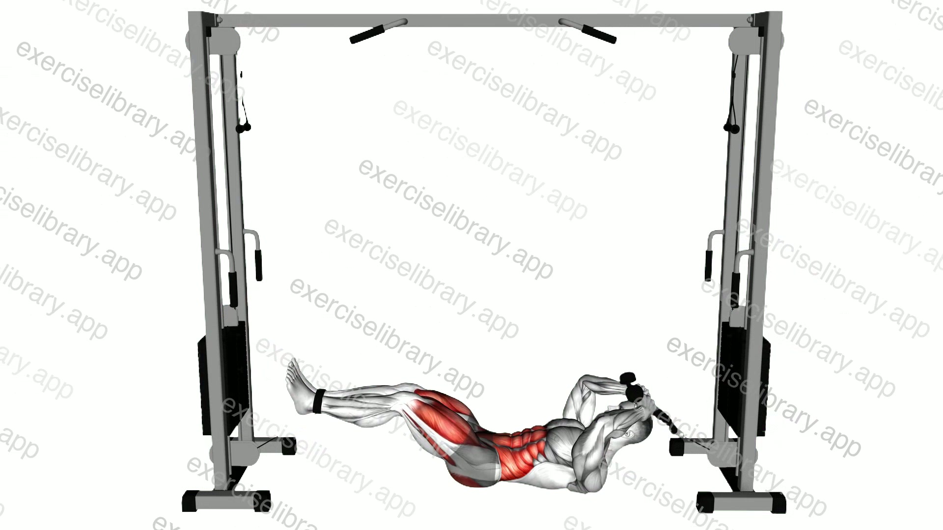 Cable Tuck Reverse Crunch demonstration