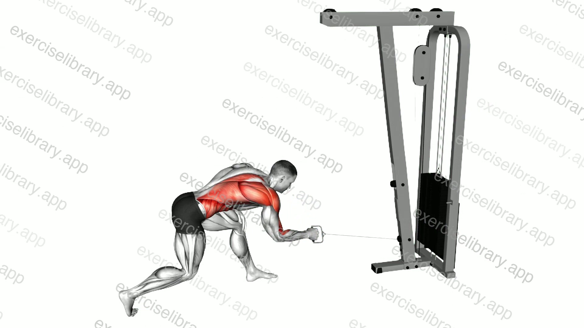 Cable Twisting Pull demonstration