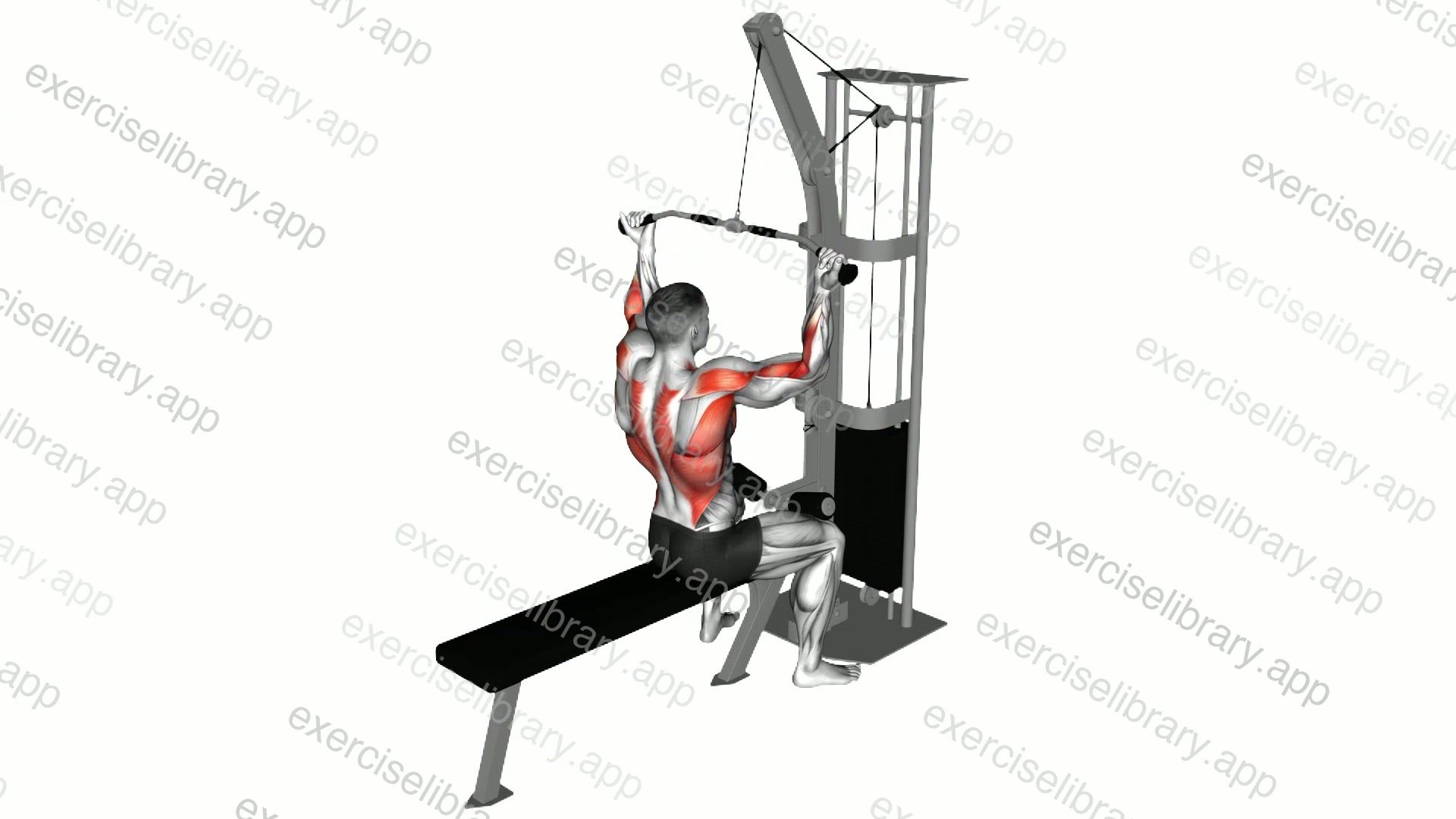 Cable Underhand Pulldown demonstration