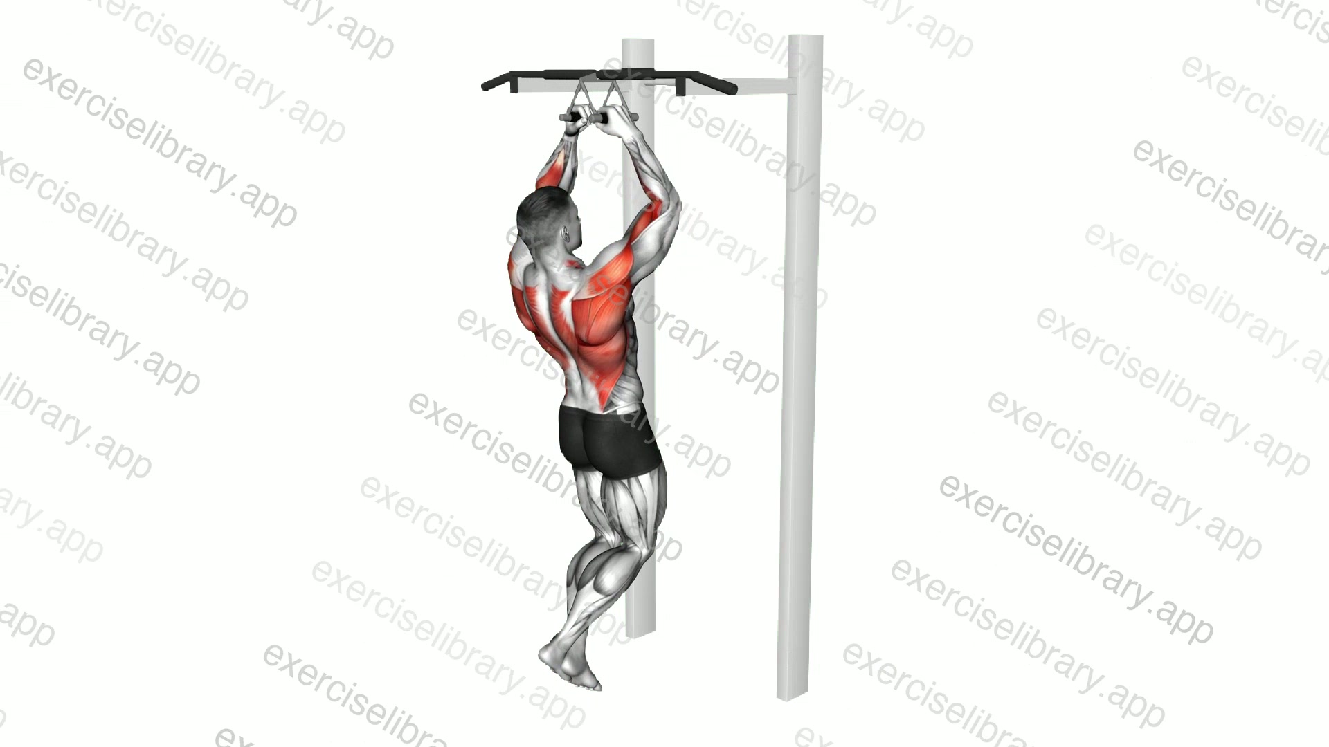 Chin-ups demonstration