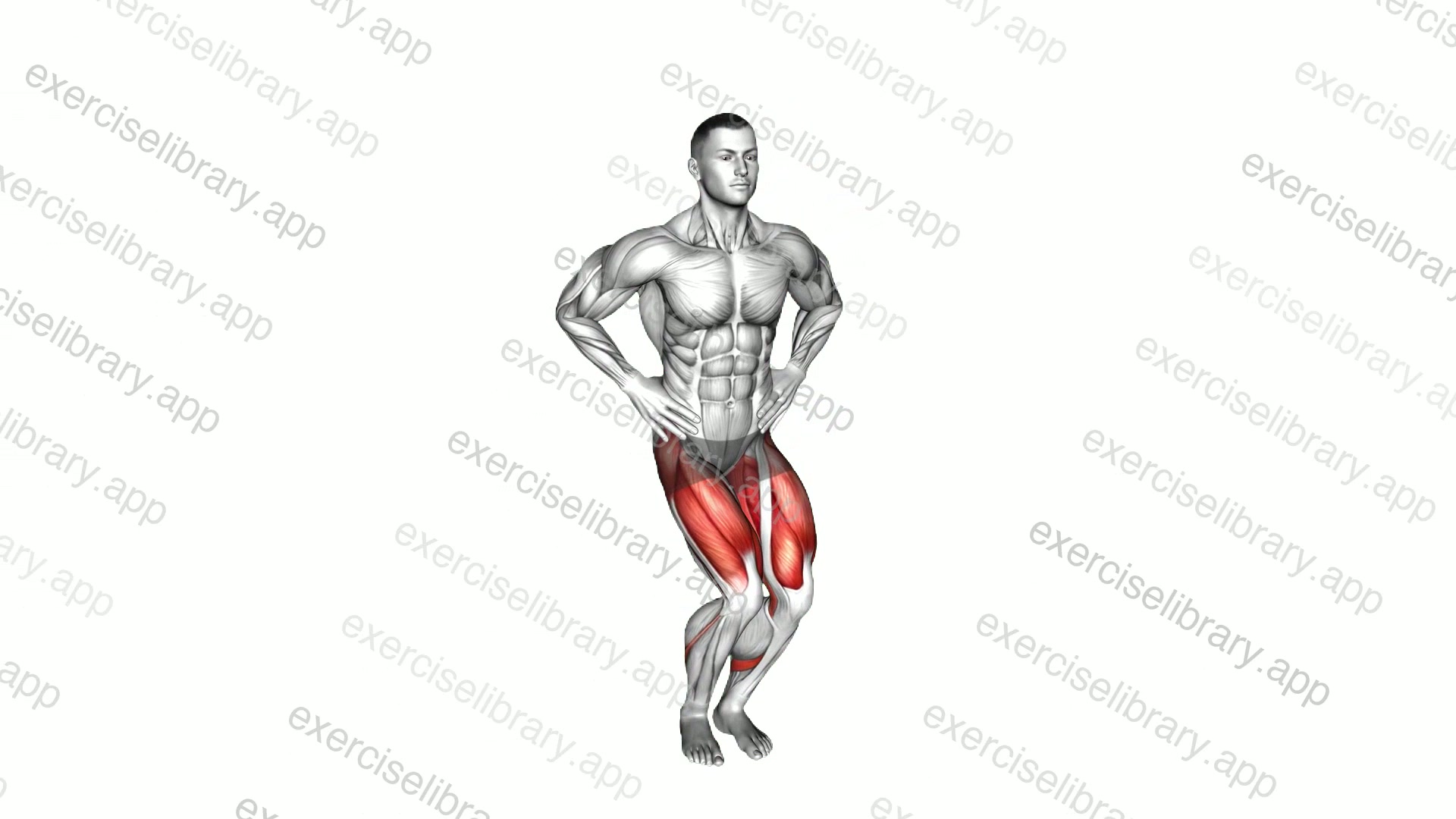 Circles Knee Stretch demonstration