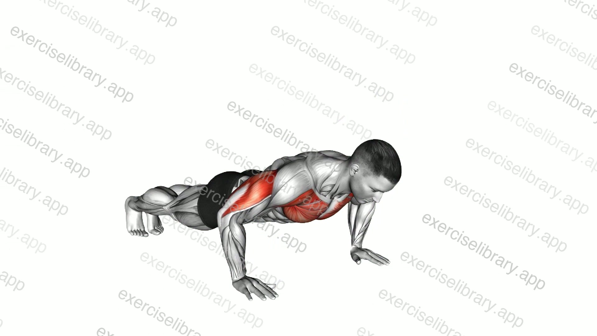Clock Push-Up demonstration