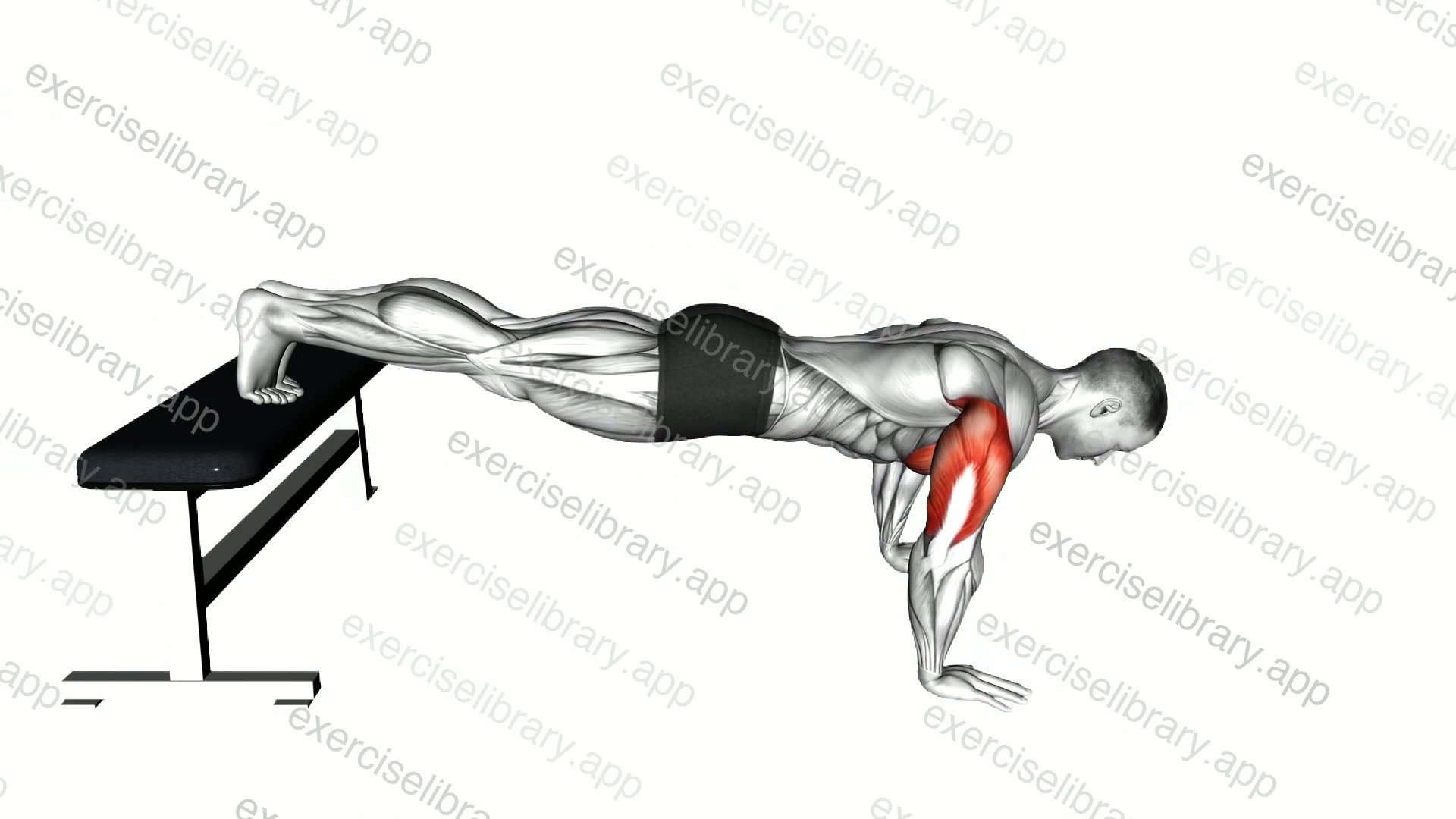 Decline Push-Up demonstration