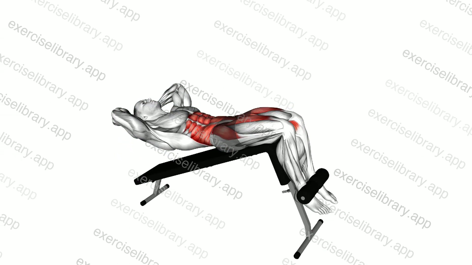 Decline Sit-up demonstration