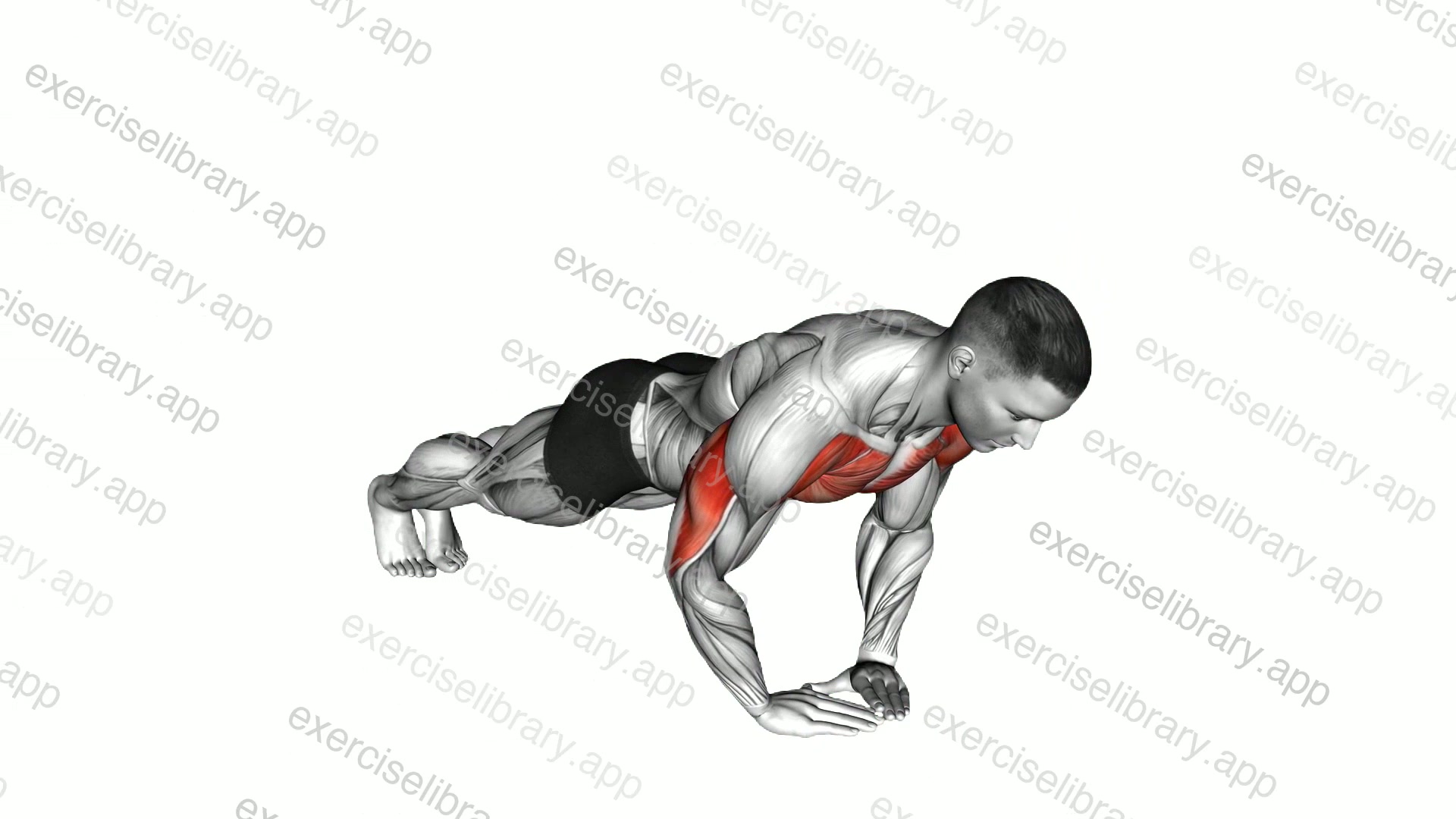 Diamond Push-up demonstration