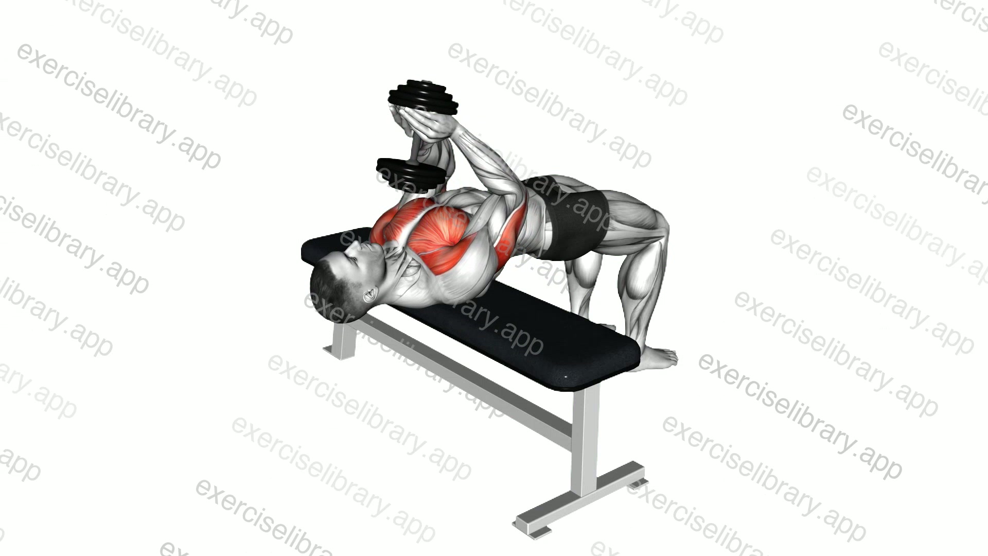 Dumbbell Close grip Press demonstration