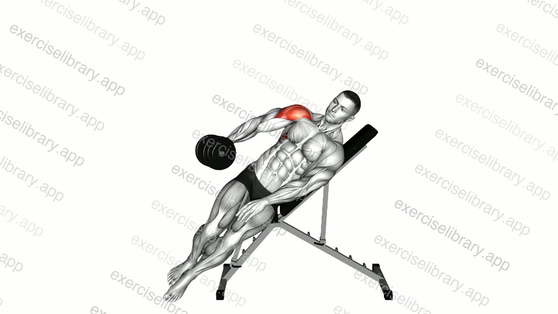Dumbbell Incline One Arm Lateral Raise demonstration