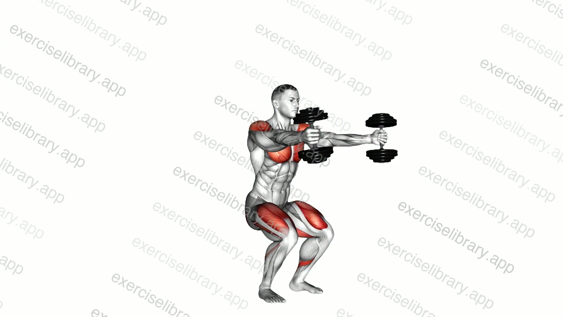 Dumbbell Iron Cross demonstration