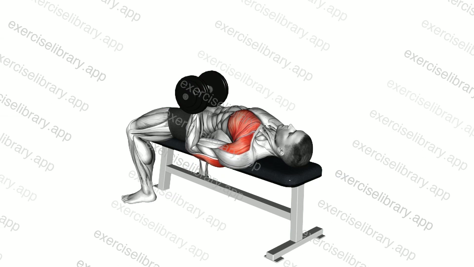 Dumbbell Lying One Arm Press demonstration