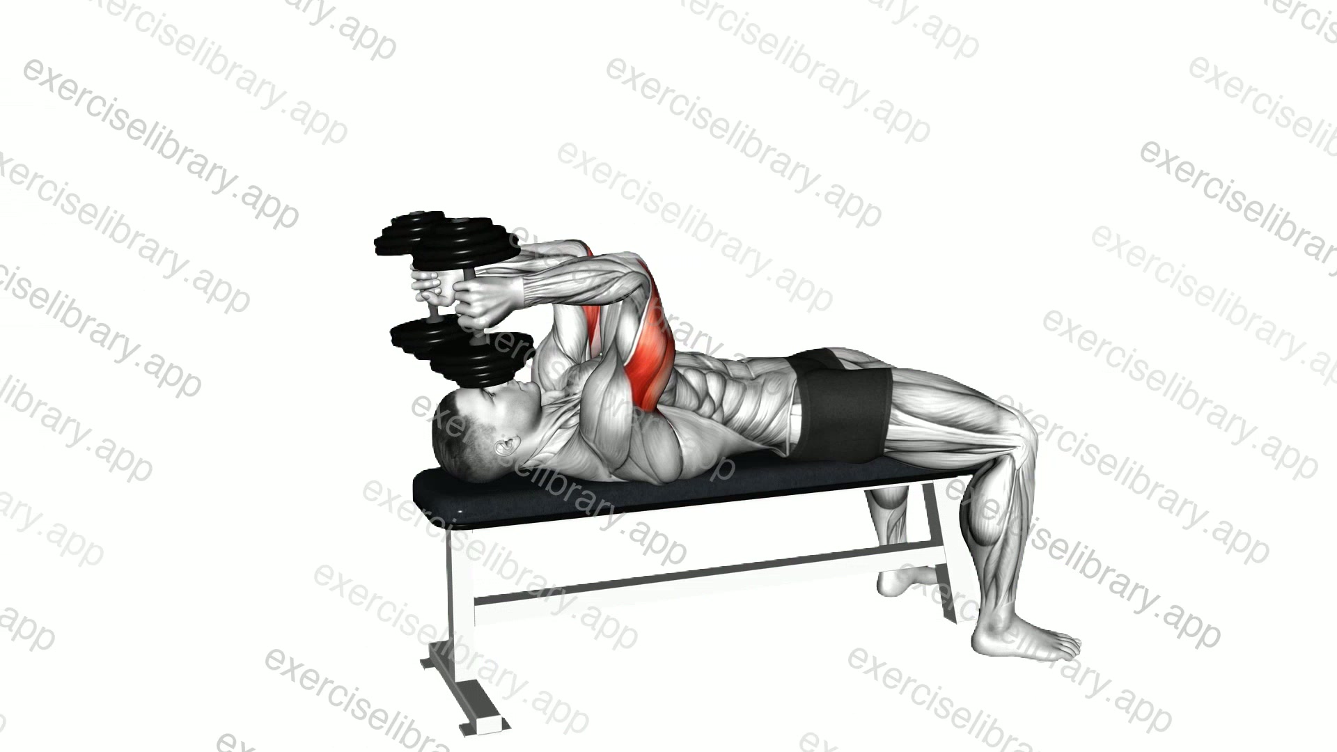 Dumbbell Lying Triceps Extension demonstration