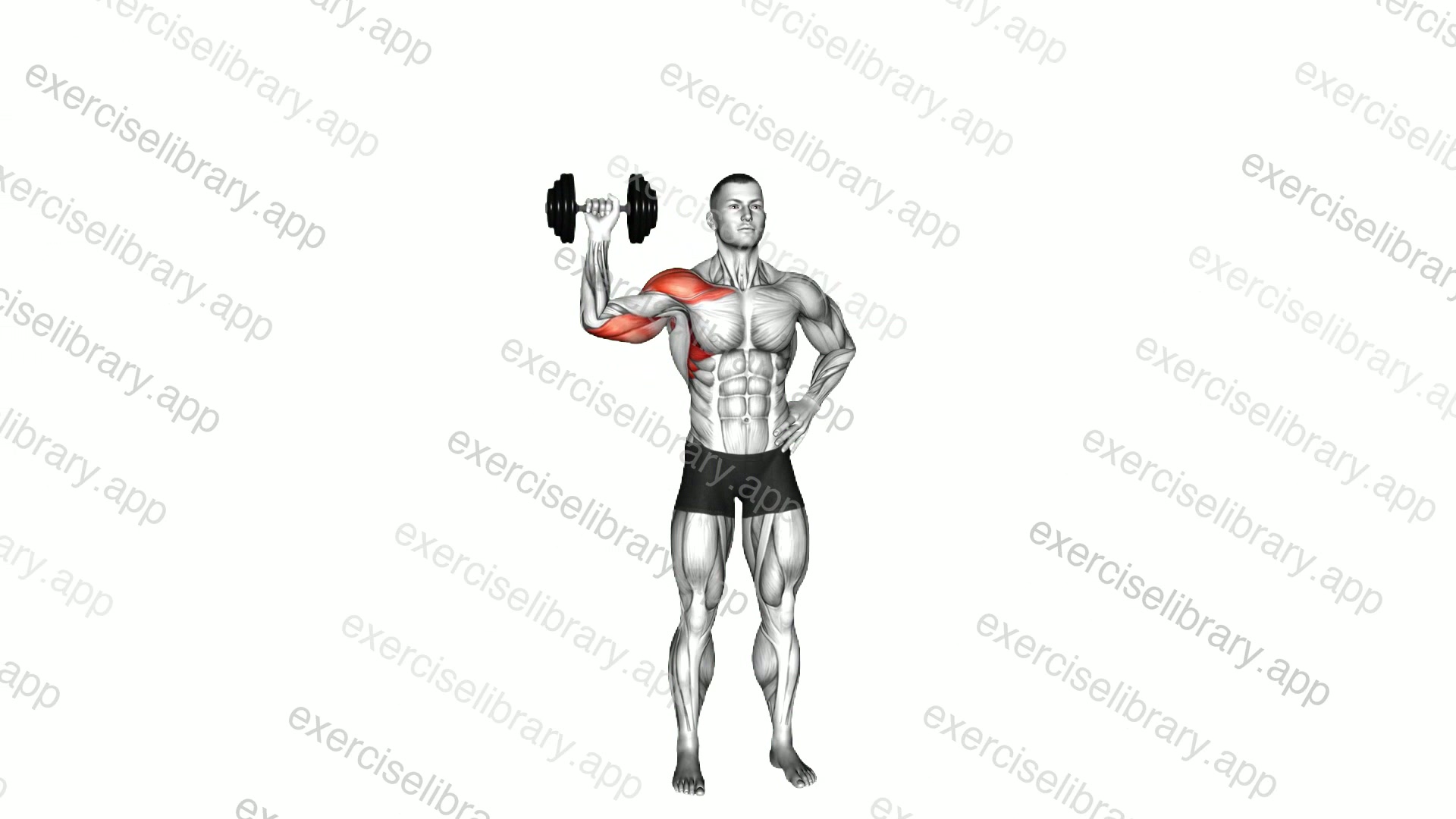 Dumbbell One Arm Shoulder Press demonstration
