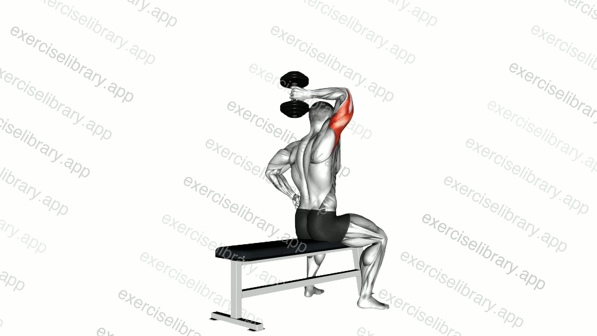 Dumbbell One Arm Triceps Extension demonstration