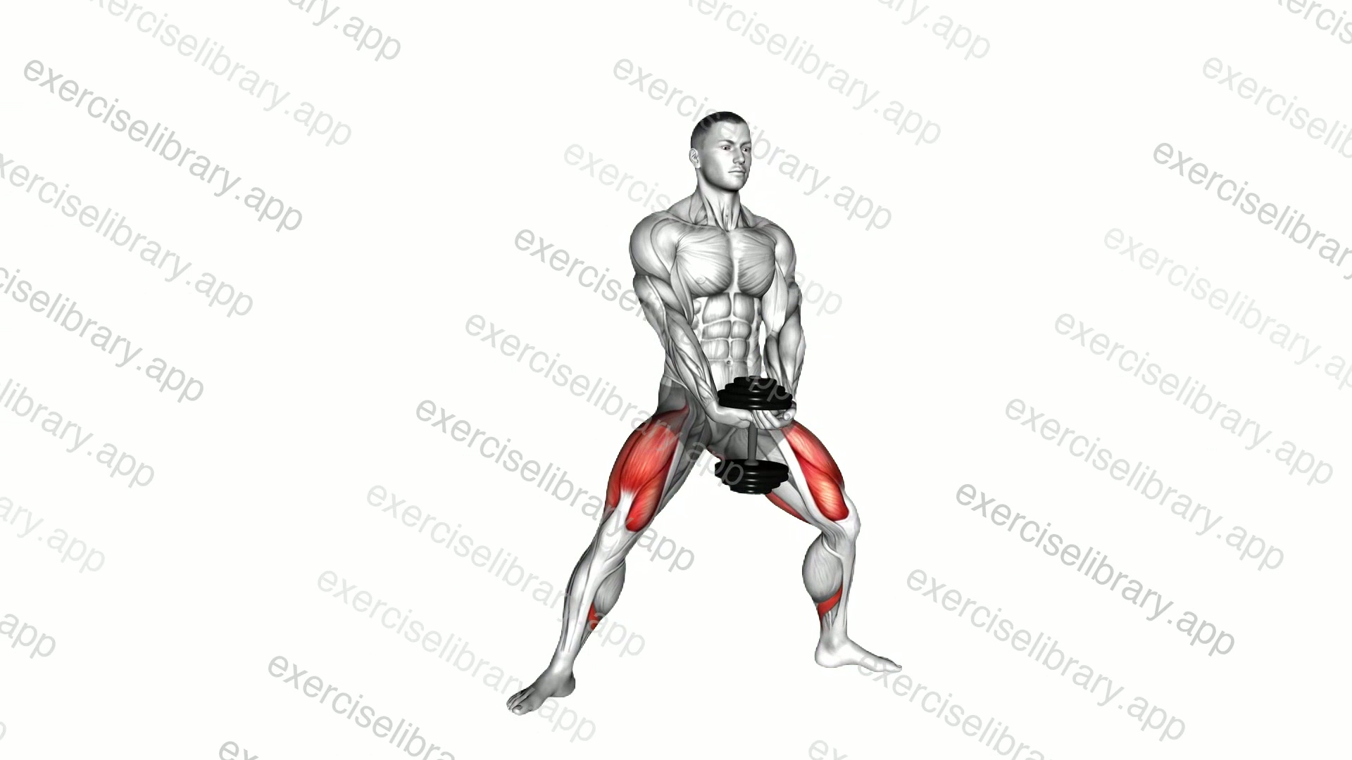 Dumbbell Plyo Squat demonstration