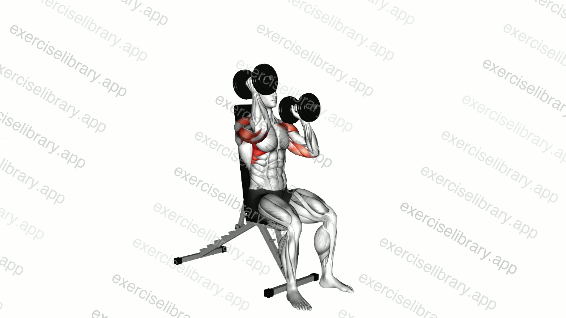 Dumbbell Seated Alternate Press demonstration