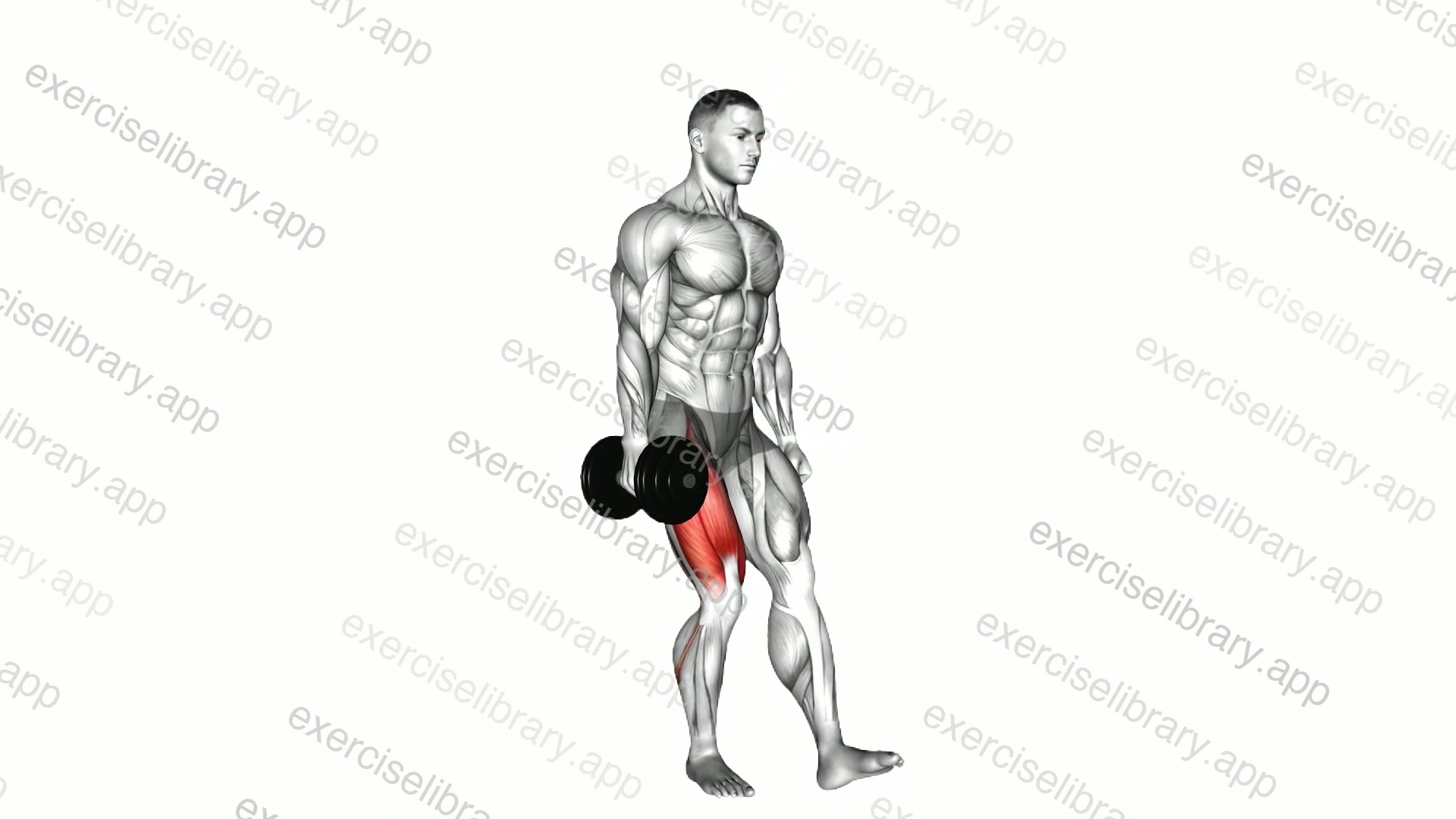 Dumbbell Single Leg Squat demonstration