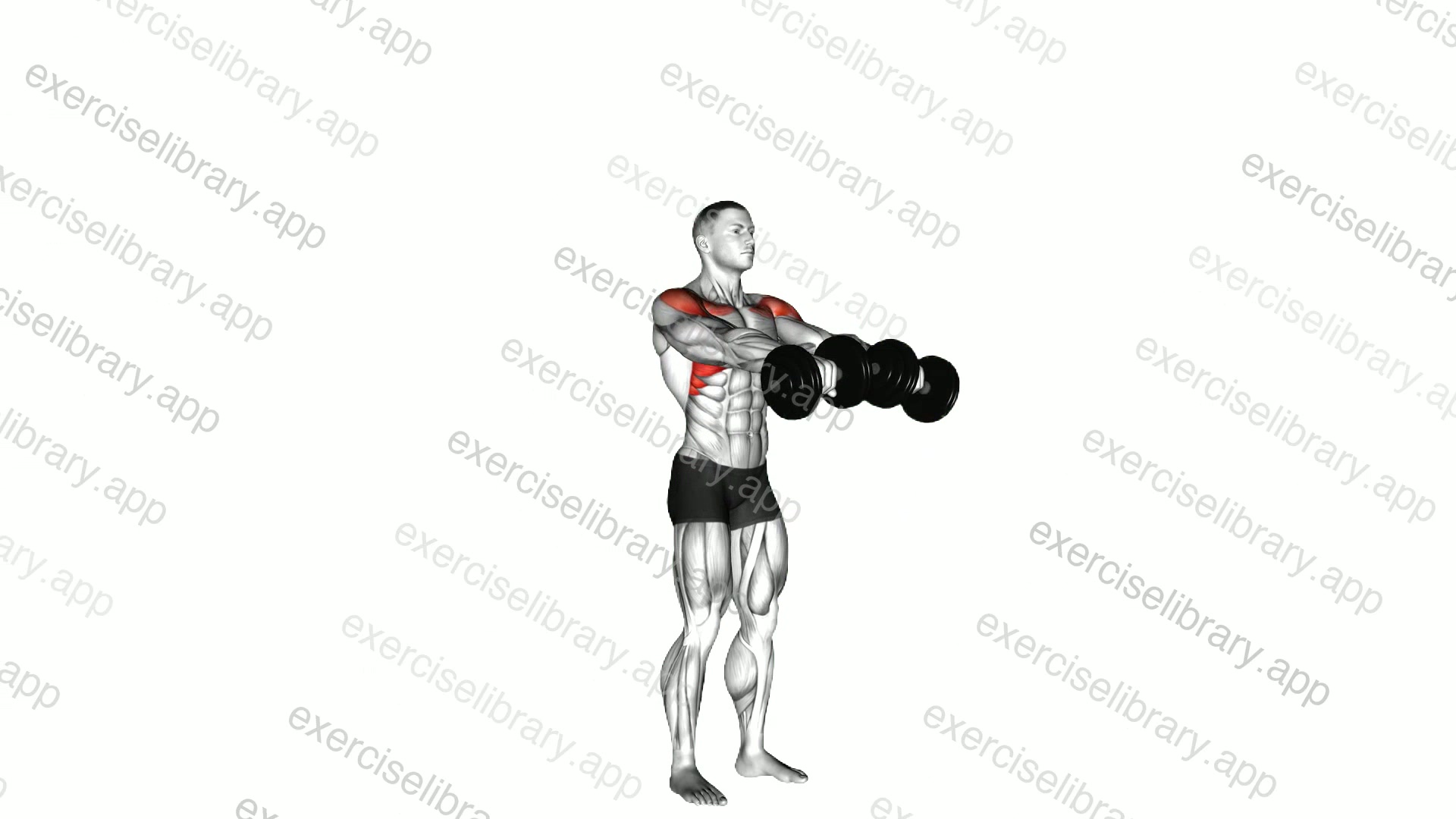 Dumbbell Standing Front Raise Above Head demonstration