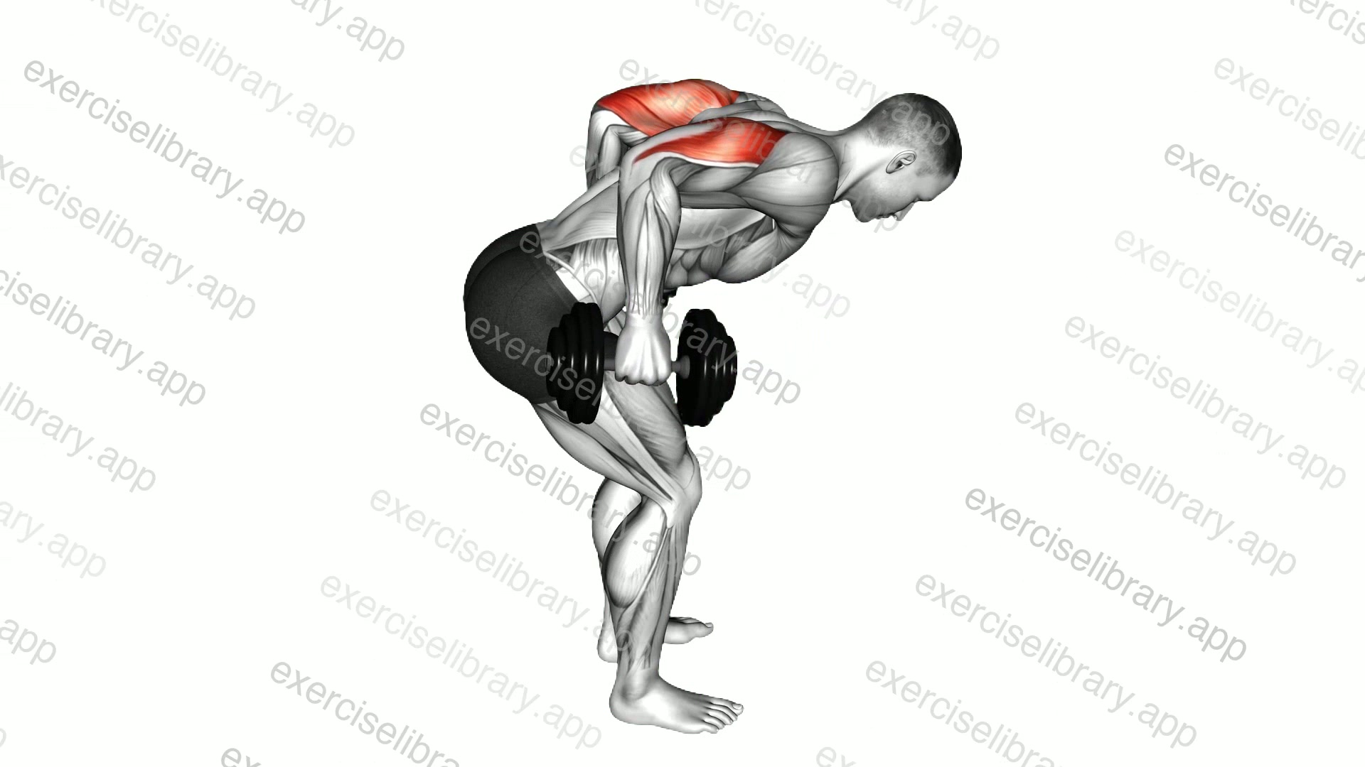 Dumbbell Standing Kickback demonstration