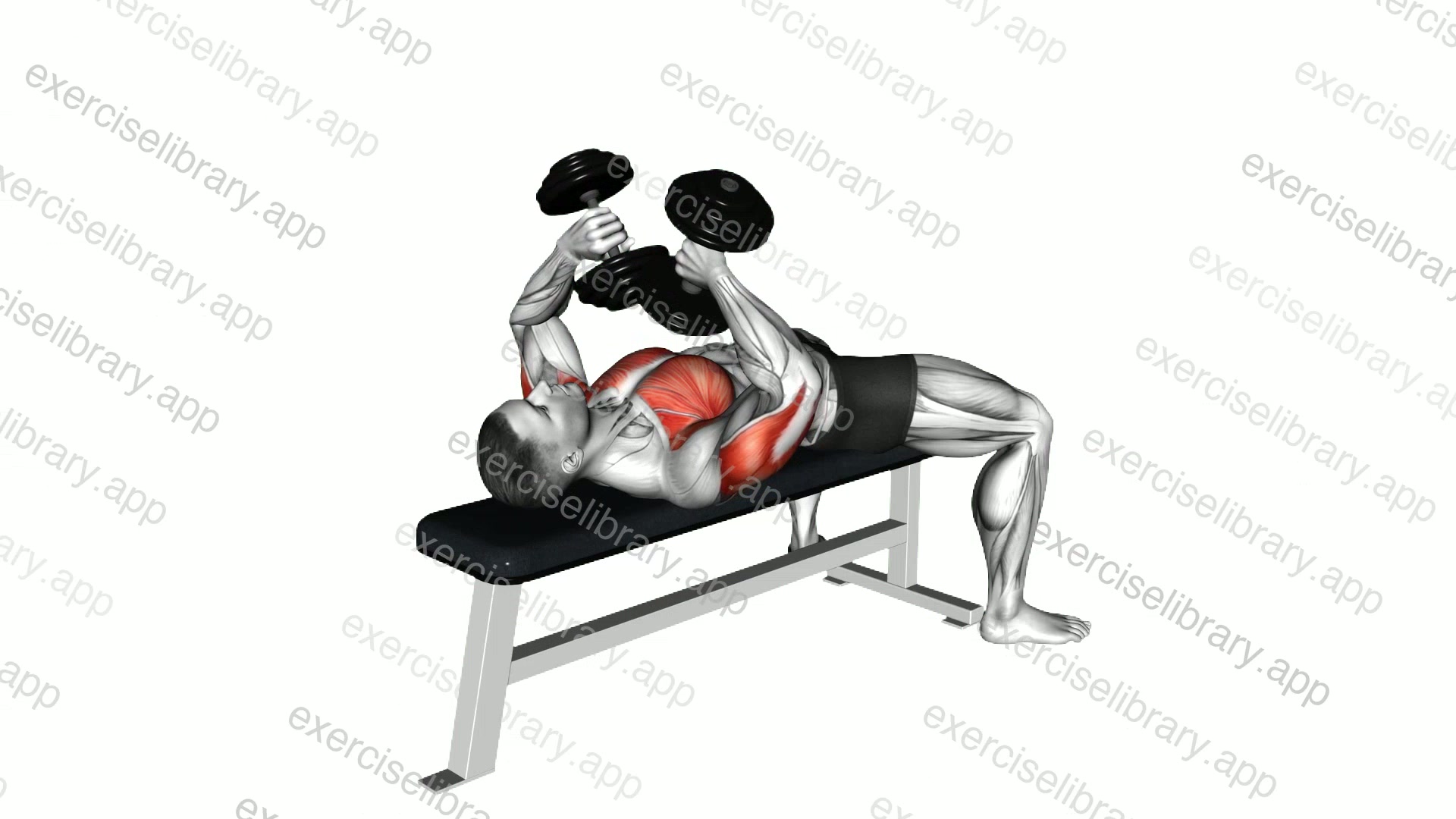 Dumbbell Tate Press demonstration