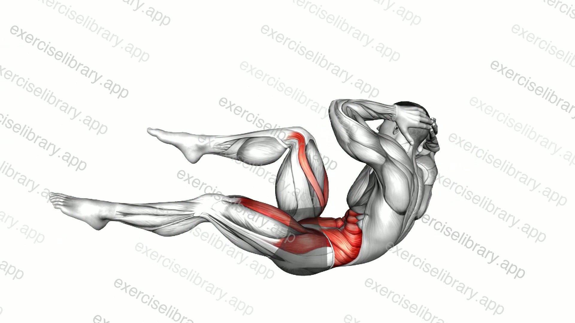Elbow To Knee demonstration