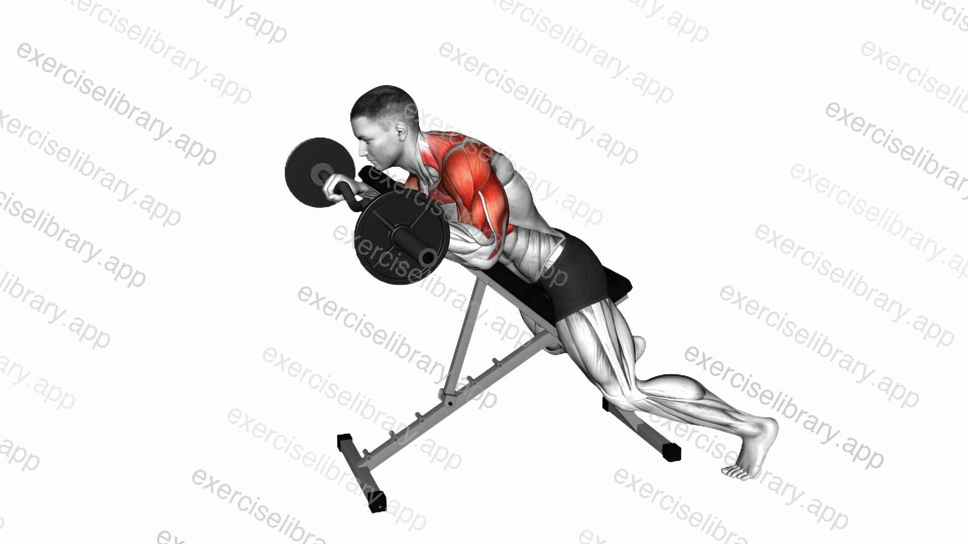 EZ Barbell Anti-Gravity Press demonstration